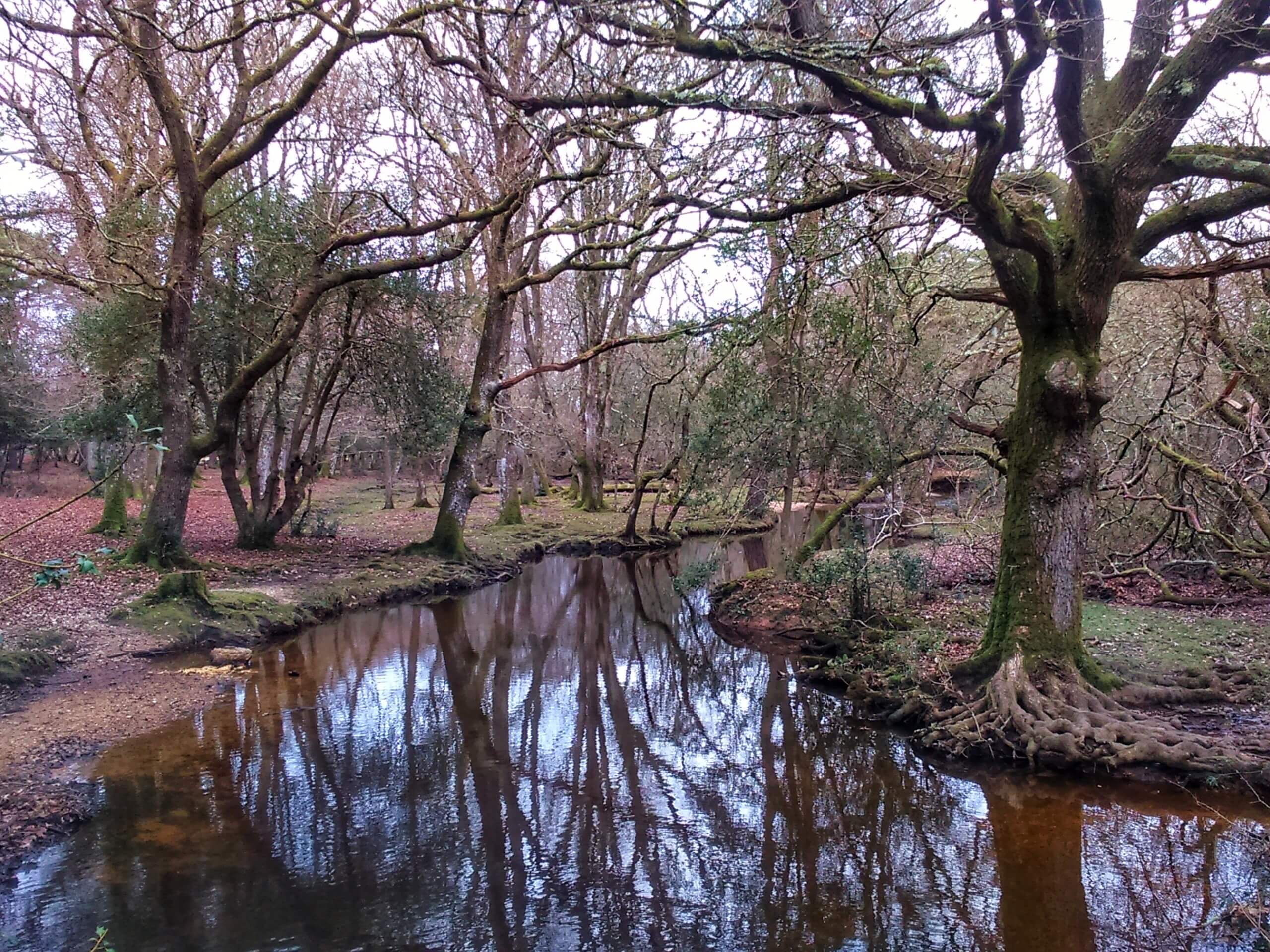 Ober Water Trail