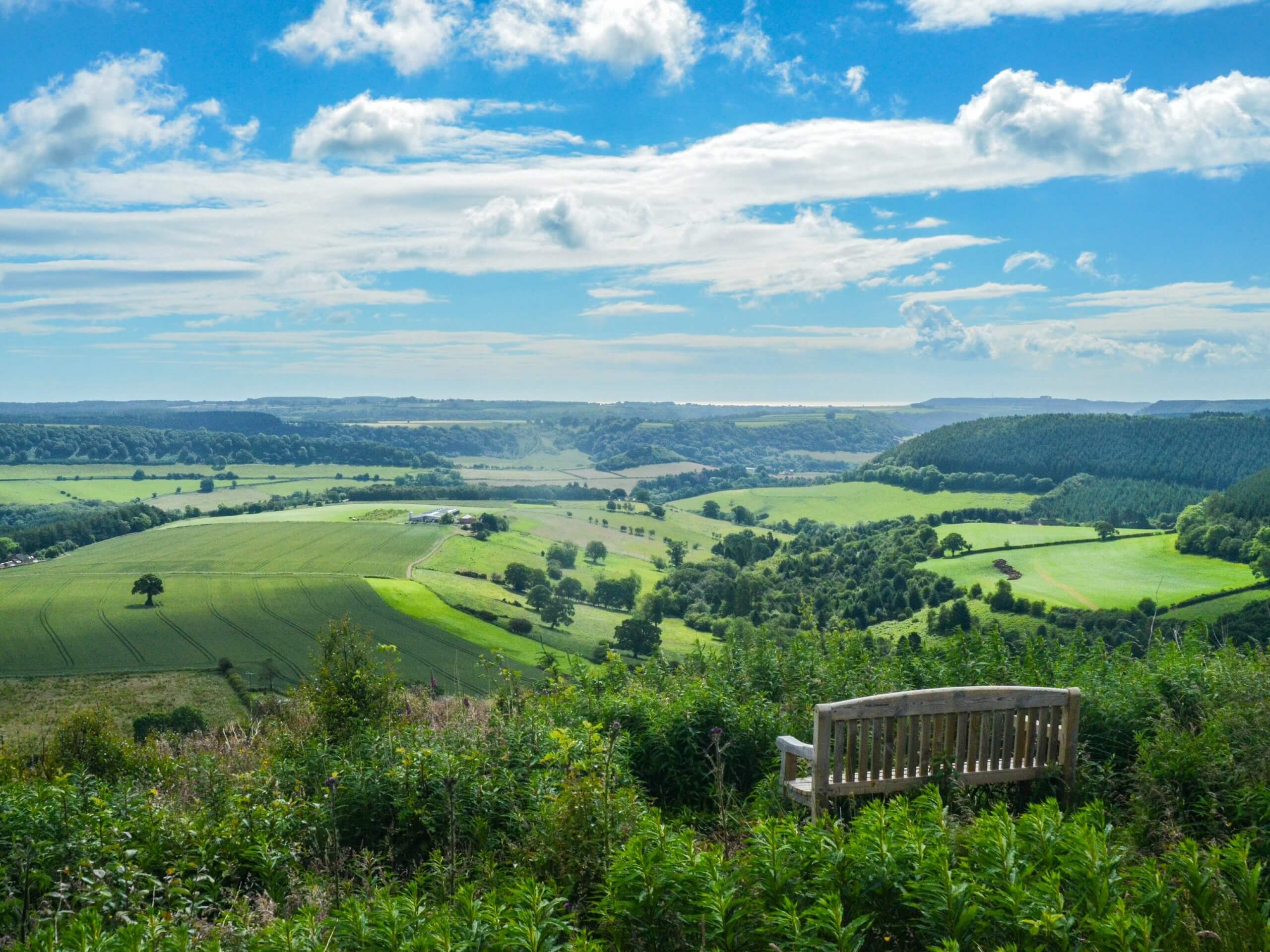 Dalby Forest Woodcock Way Circular Walk