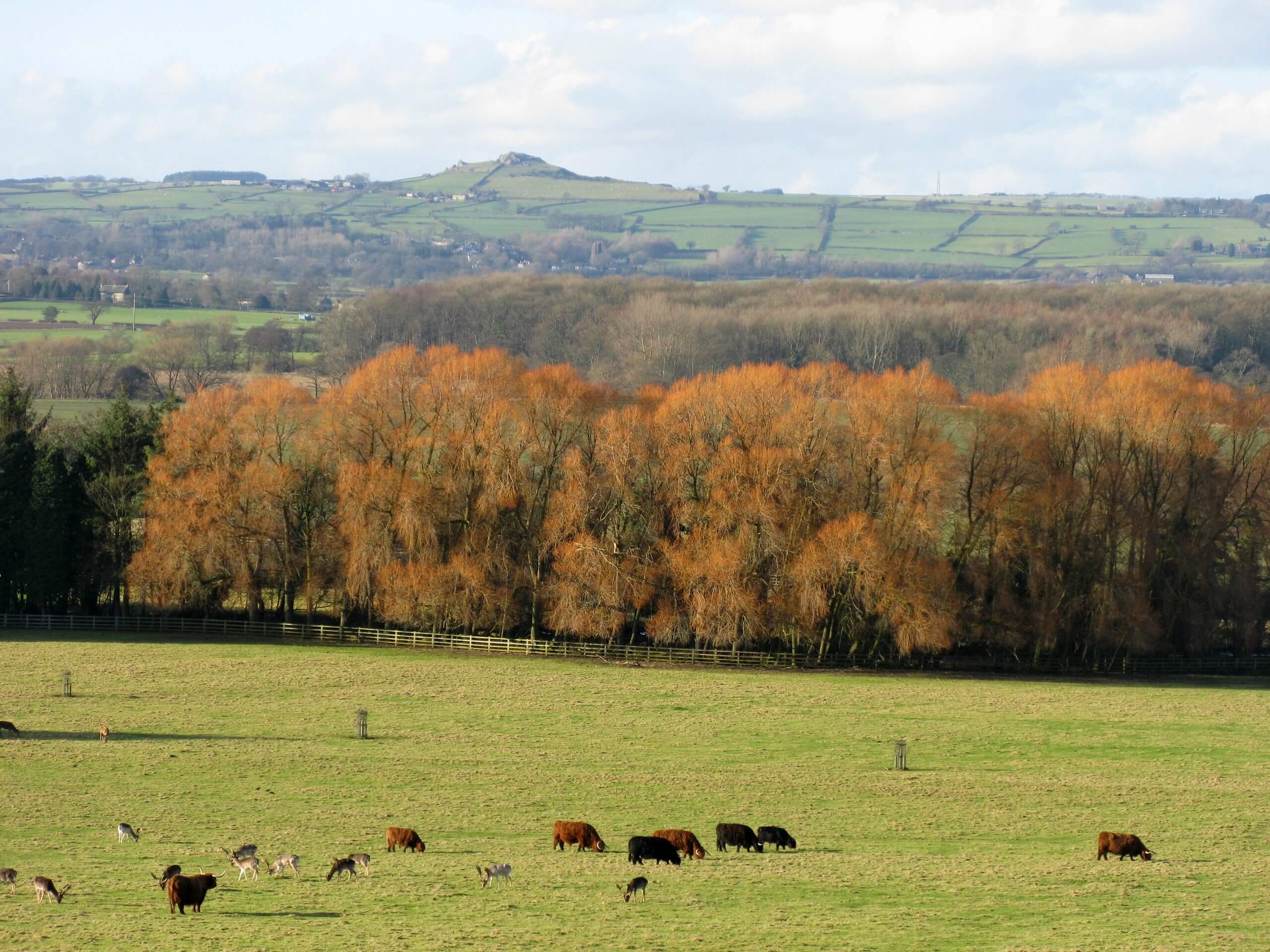 Hidden Valleys of Wharfedale Walk