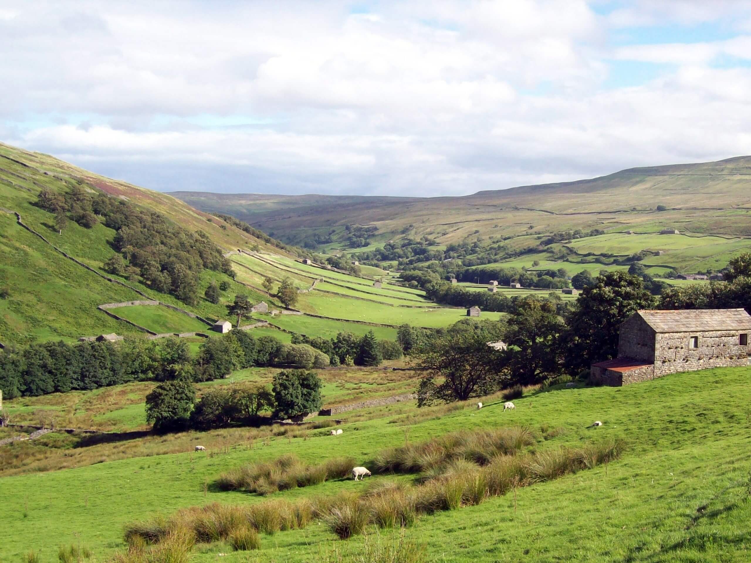 Muker and Swaledale Walk