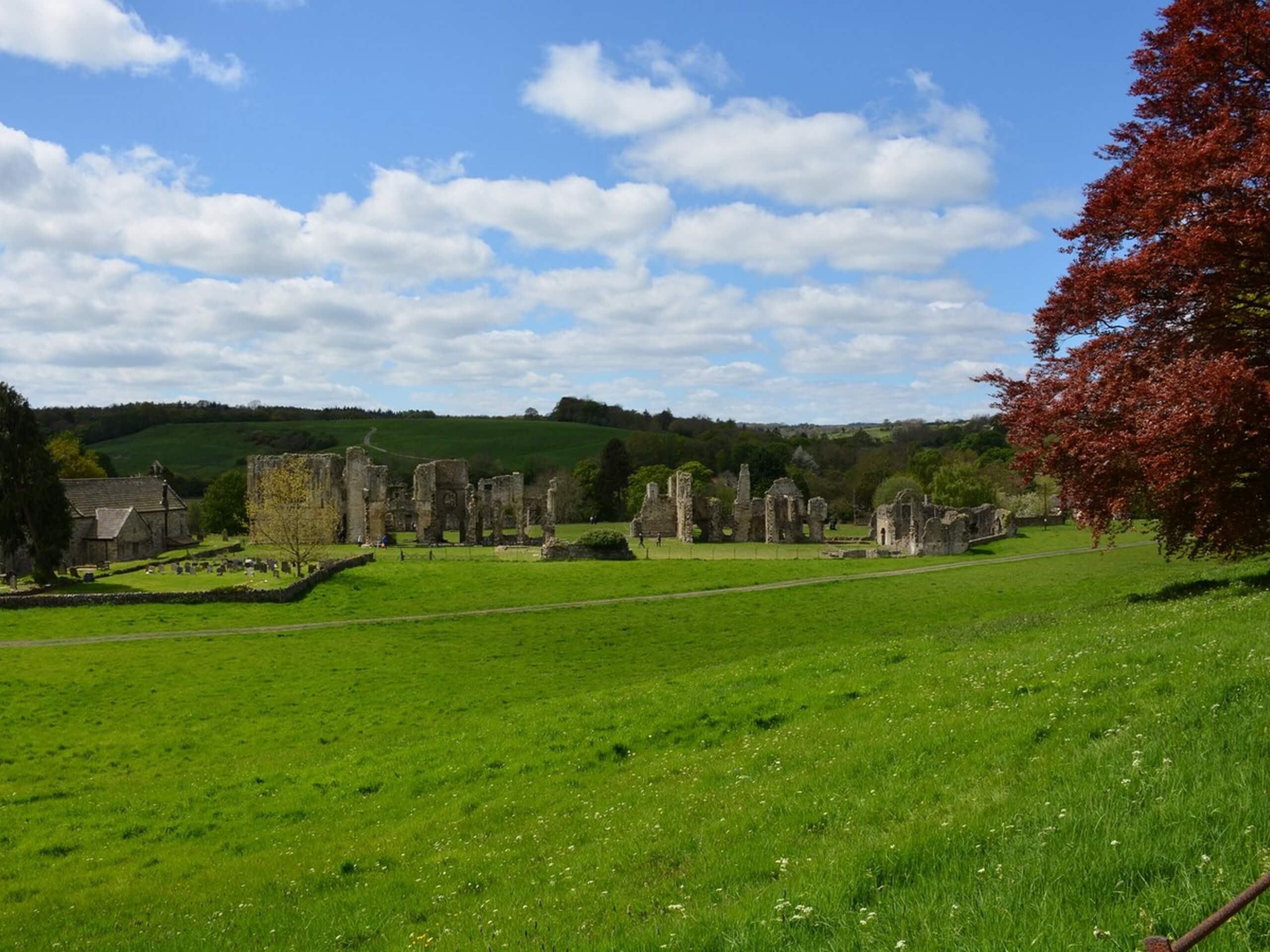 Richmond and Easby Abbey Walk