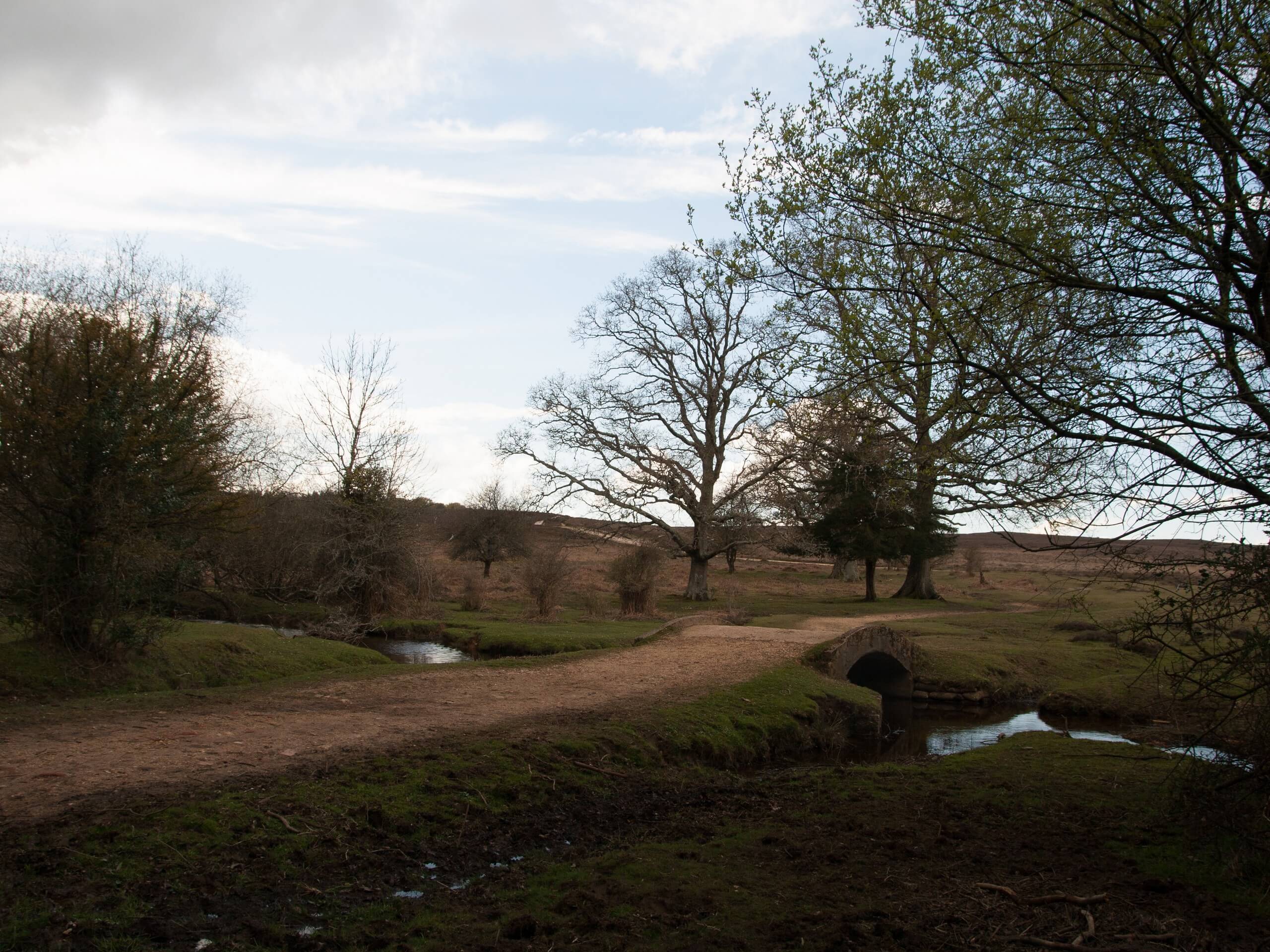 Broomy and Linwood Walk