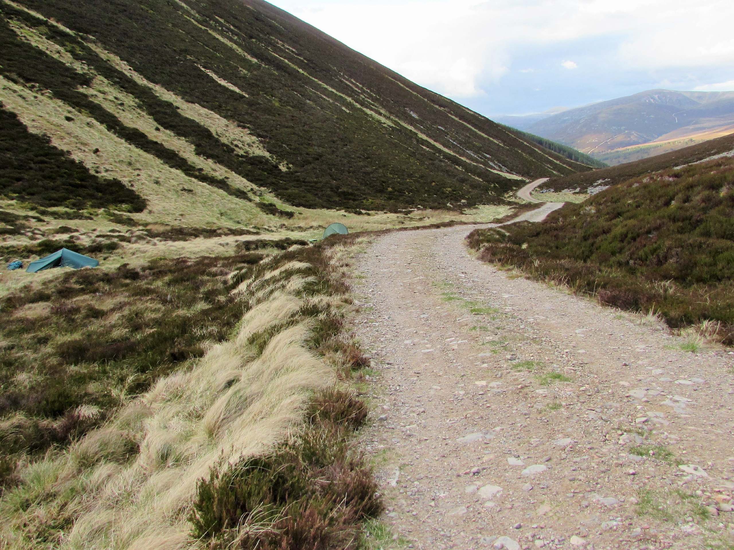 Lower Glen Feshie and the Frank Bruce Sculpture Trail