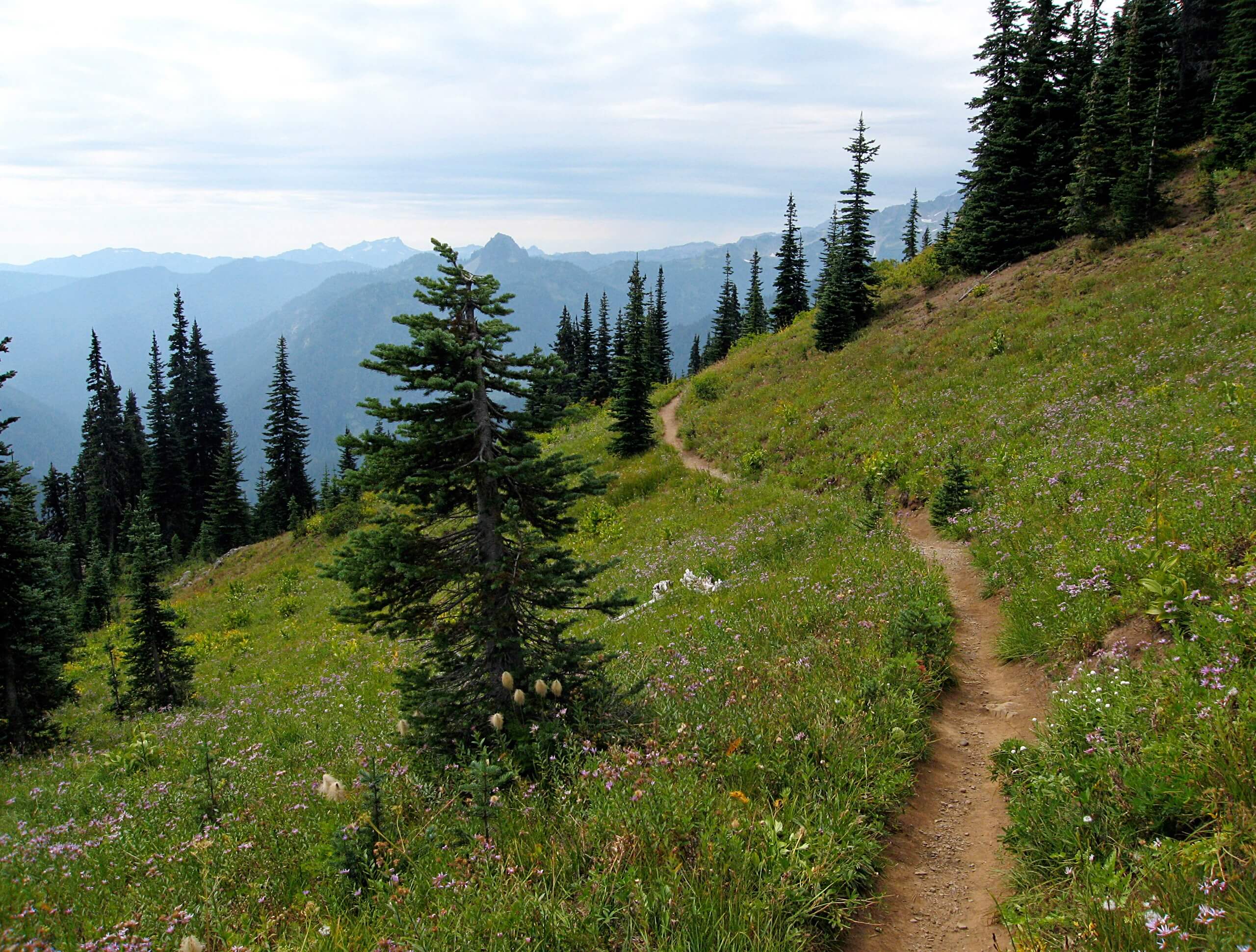 Naches Peak Loop Hike