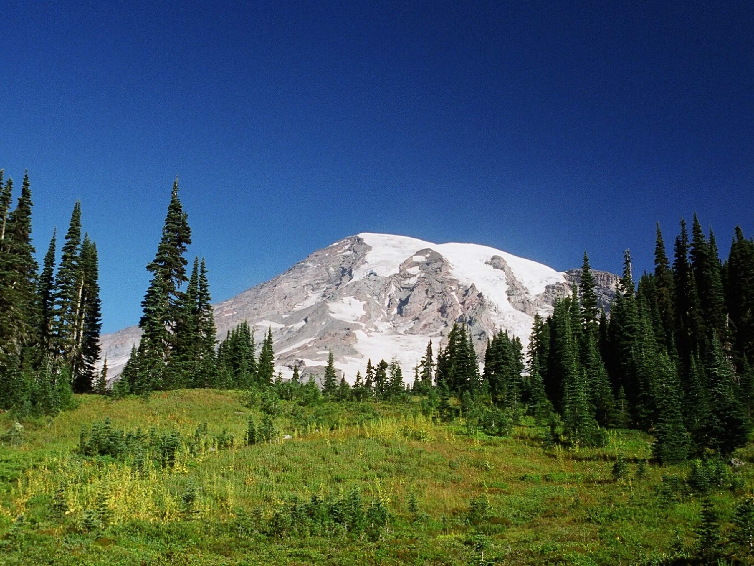 Alta Vista Trail