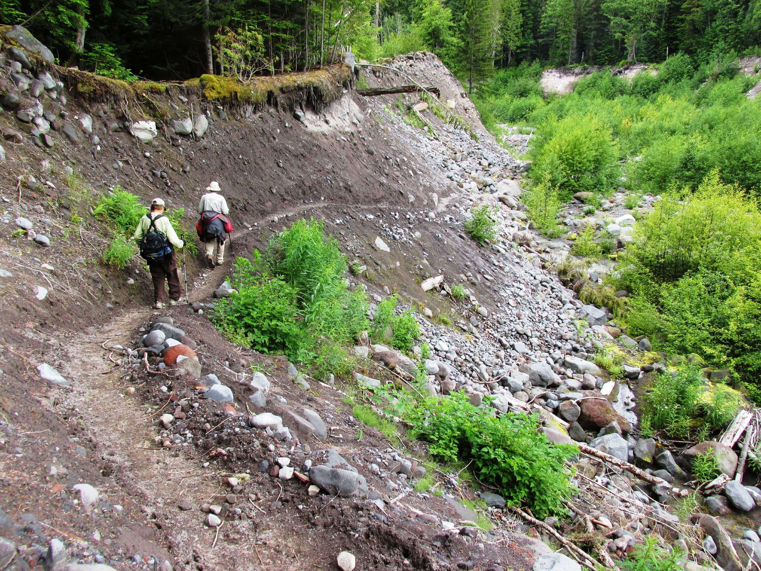 Kautz Creek Trail to Longmire