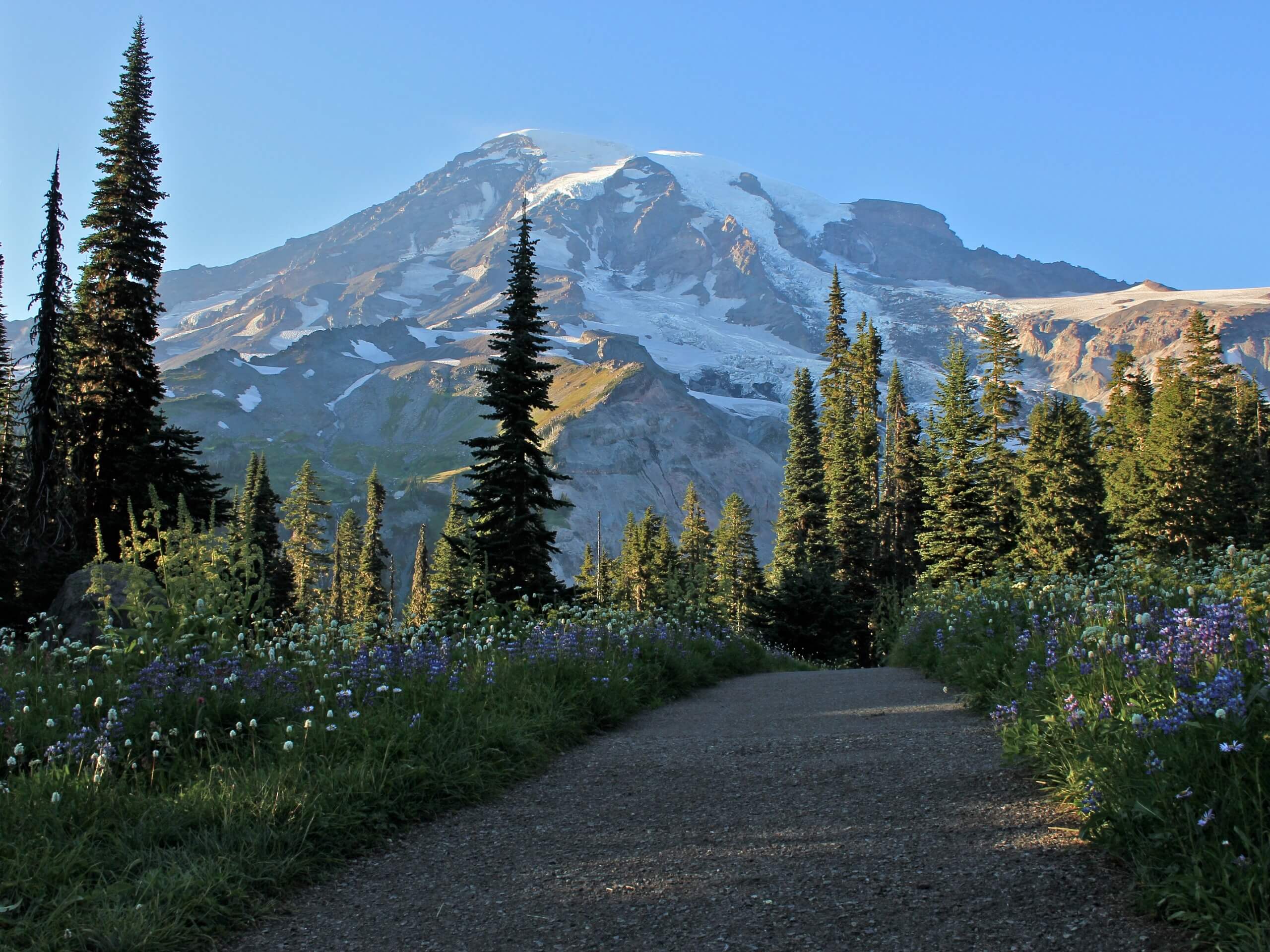 Nisqually Vista Trail