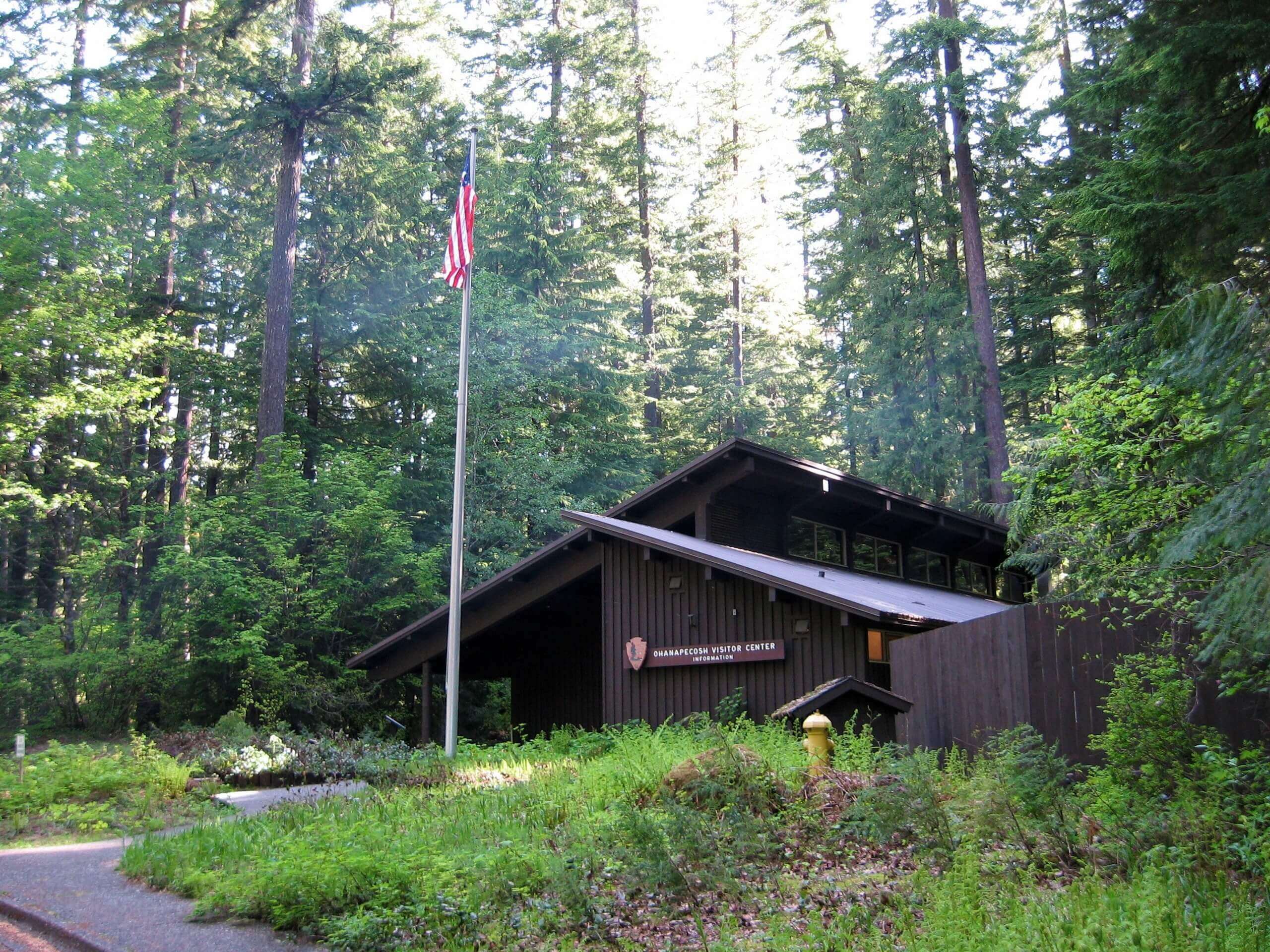 Ohanapecosh Hot Springs Trail