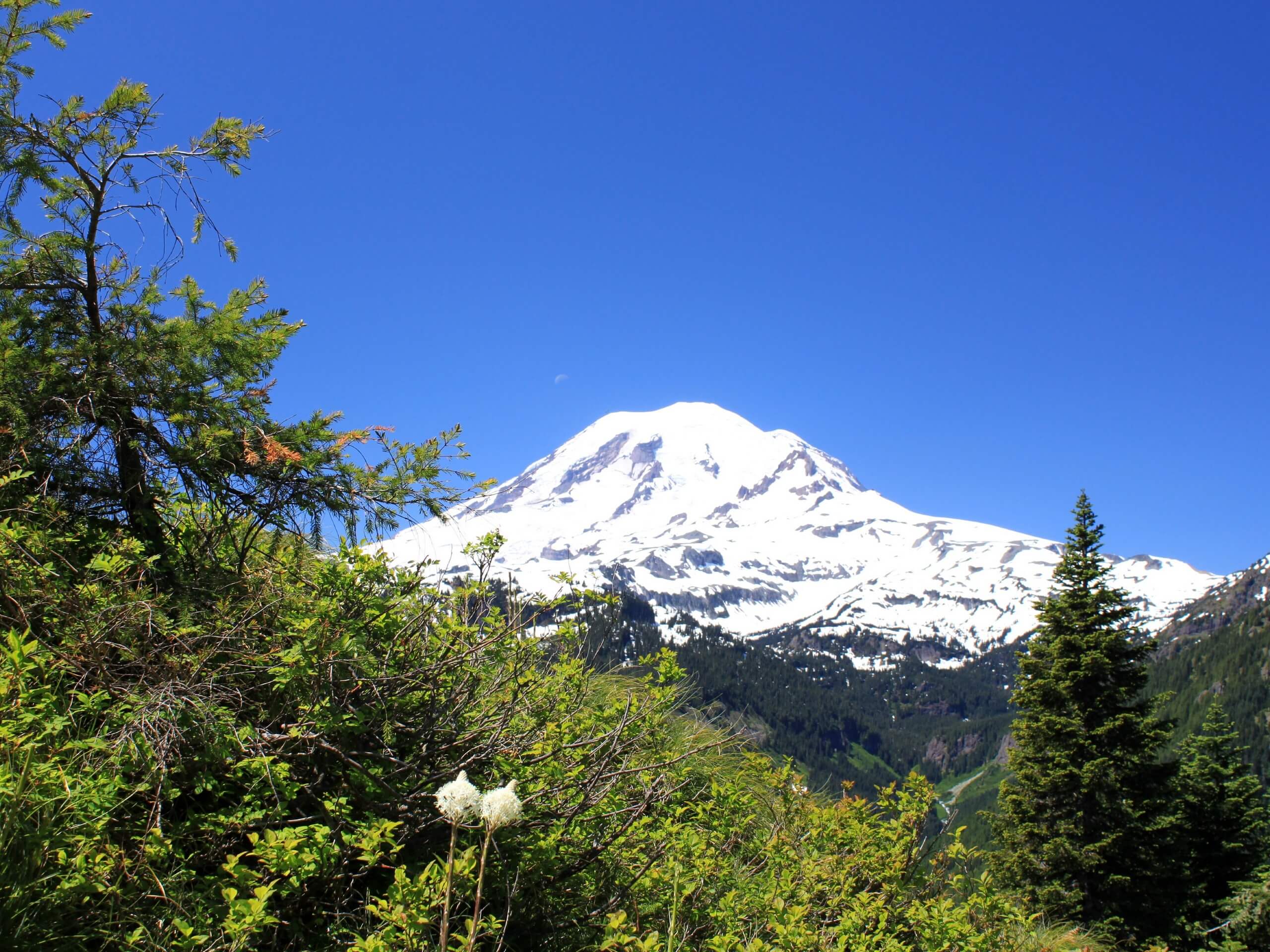 Shriner Peak Hike