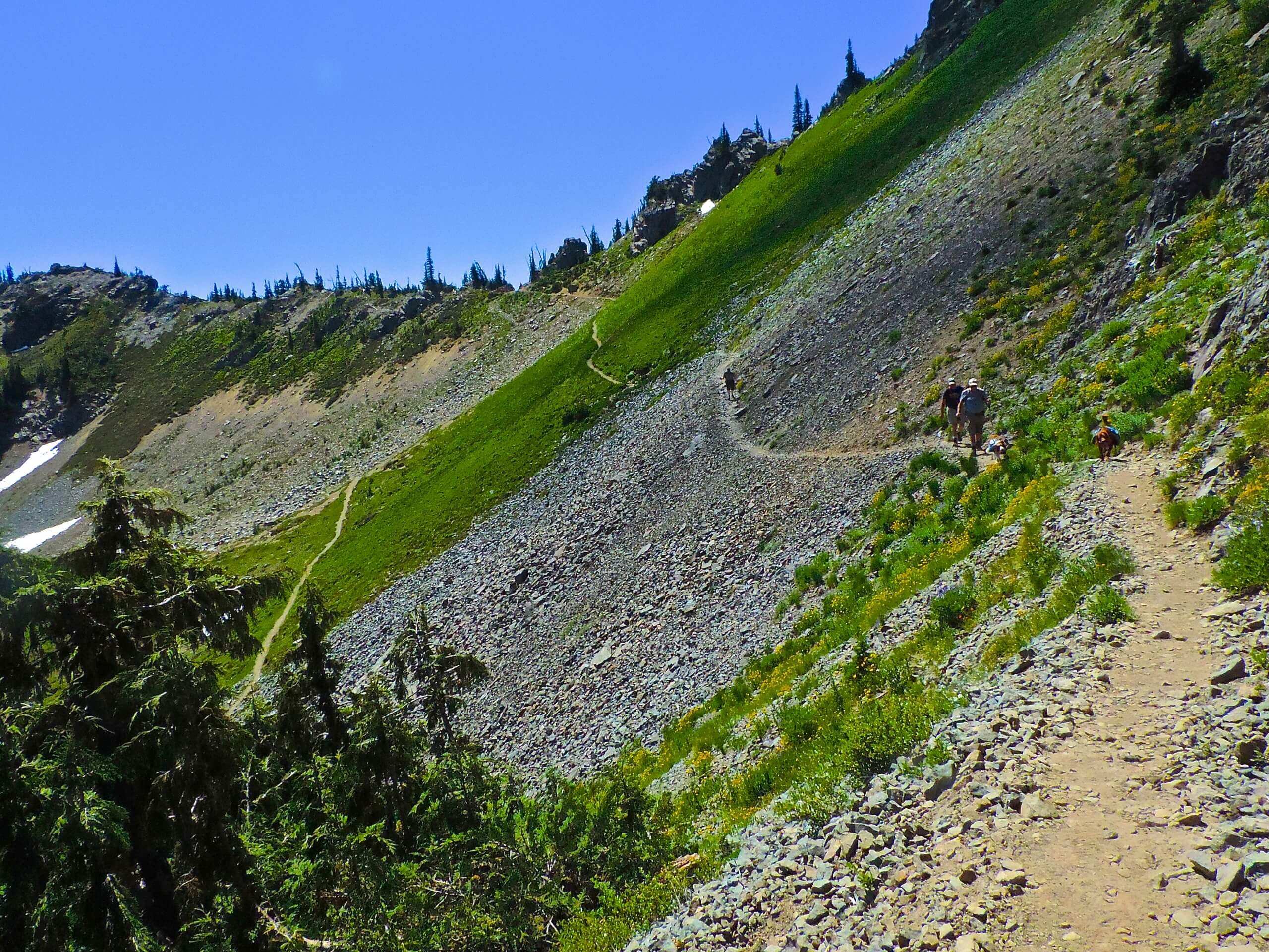 Sourdough Gap from Sheep Lake