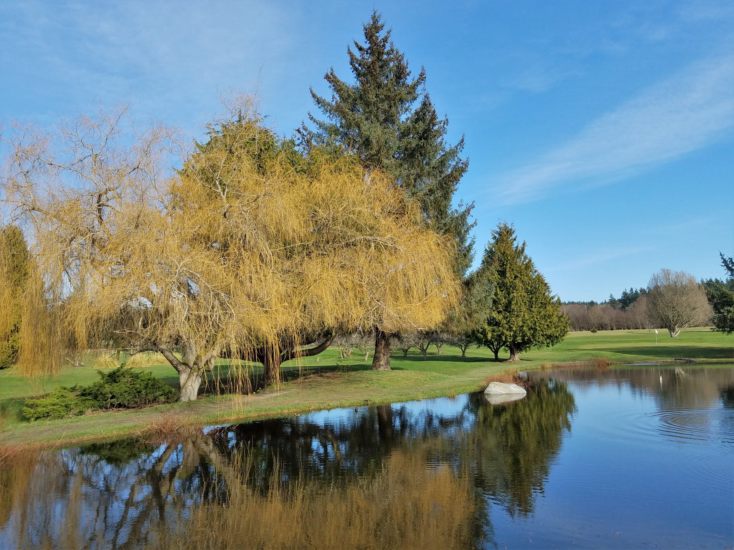 Whidbey Island