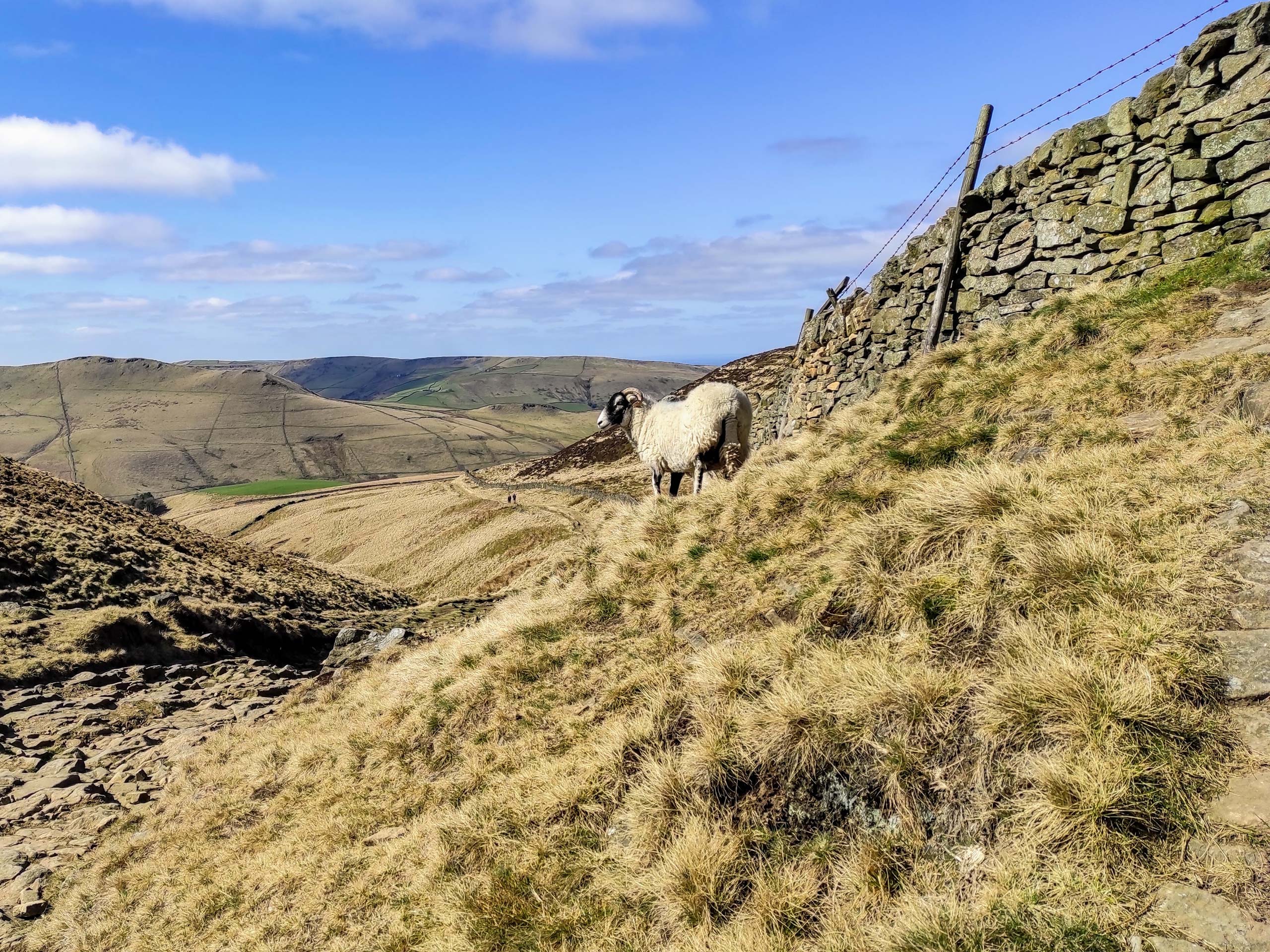 Peak District National Park Kinder Scout Walk High Peak near Manchester, UK