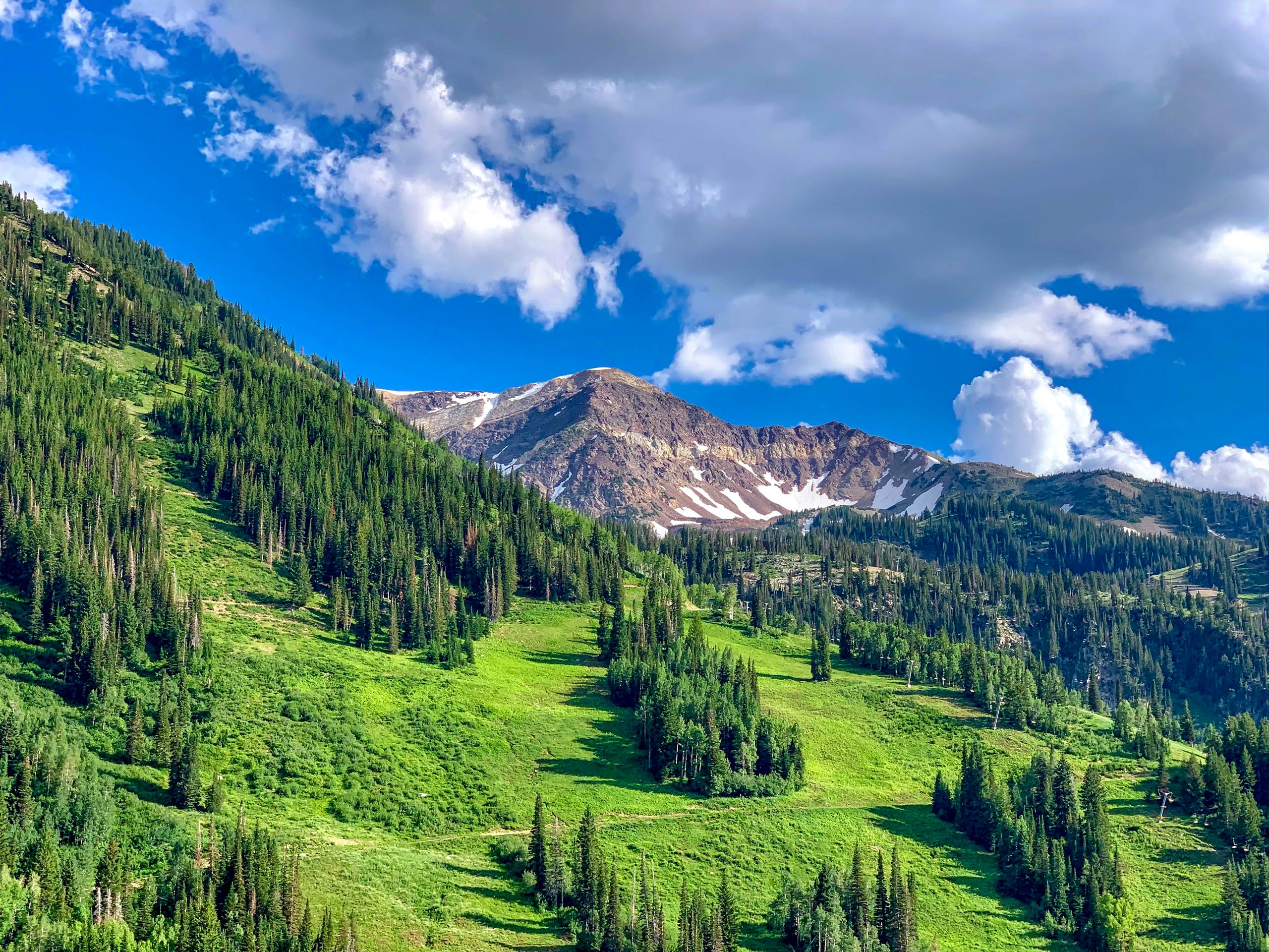 Wasatch Mountain State Park Utah summer hiking USA