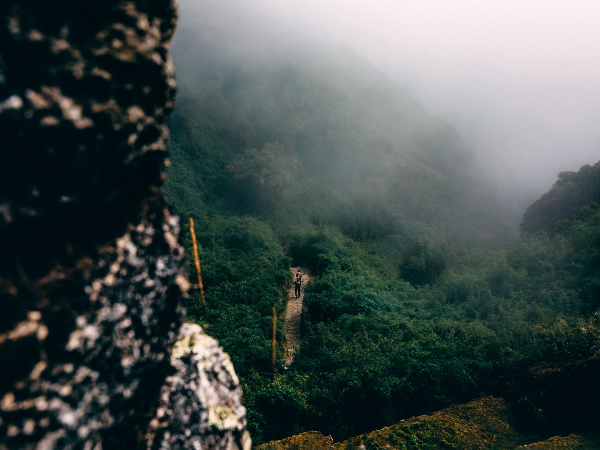 Hiking through the fog along the Inca Trail to Machu Picchu in Peru