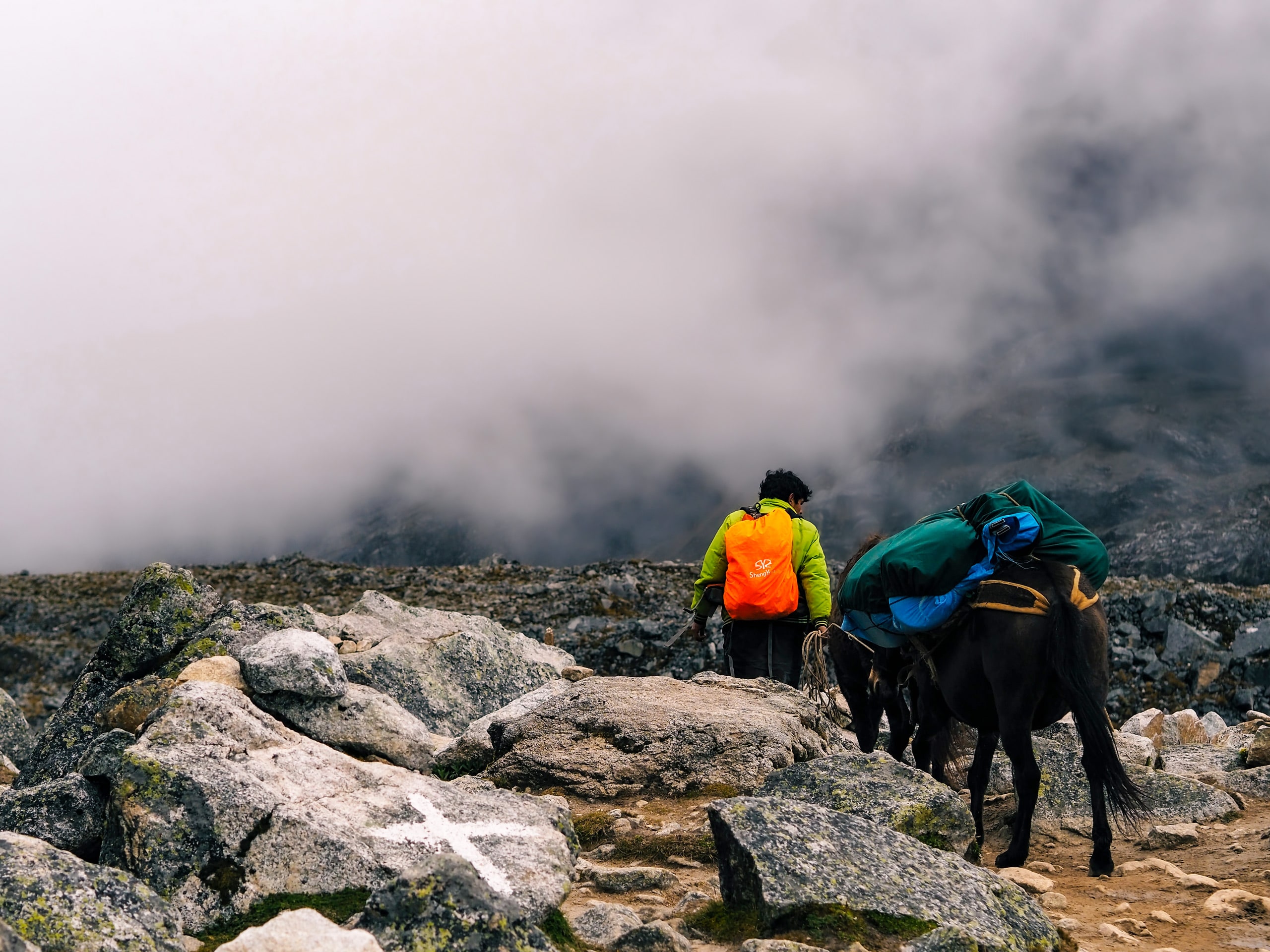 Salkantay Trail mule donkey packing backpacking to Machu Picchu Peru