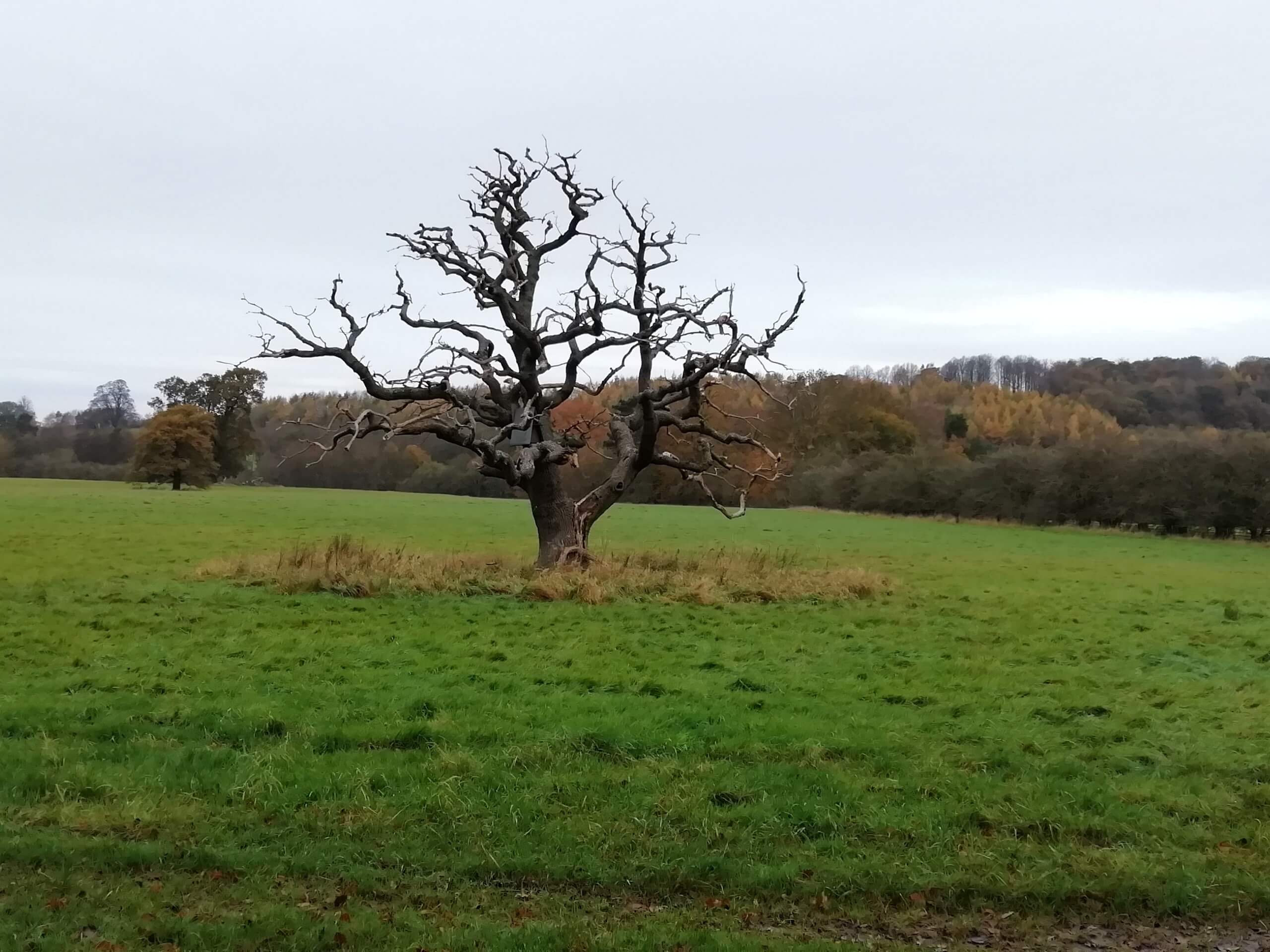 Welburn and Castle Howard Circular Walk