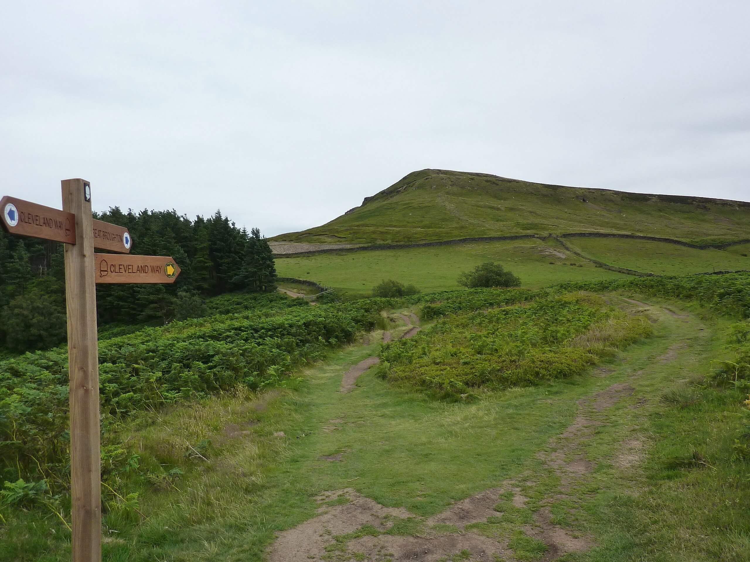 Cold Moor The Wainstones and White Hill Walk