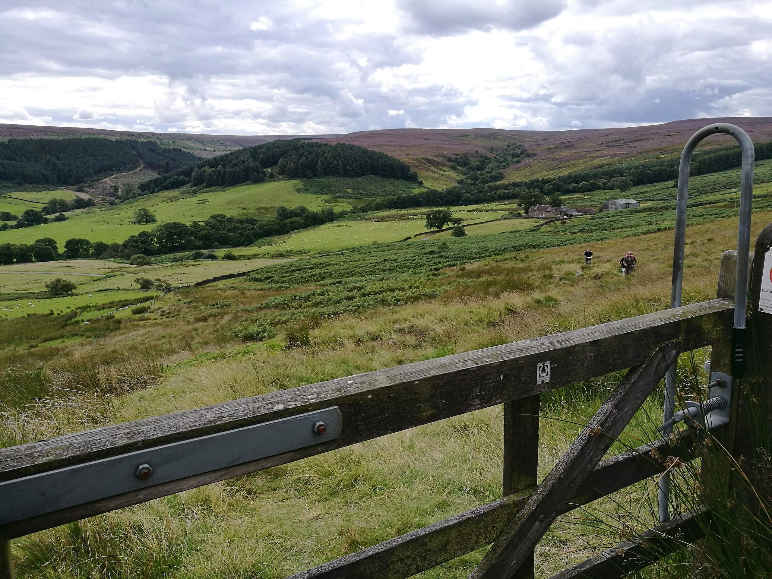 Hob Hole and Baysdale Circular Walk