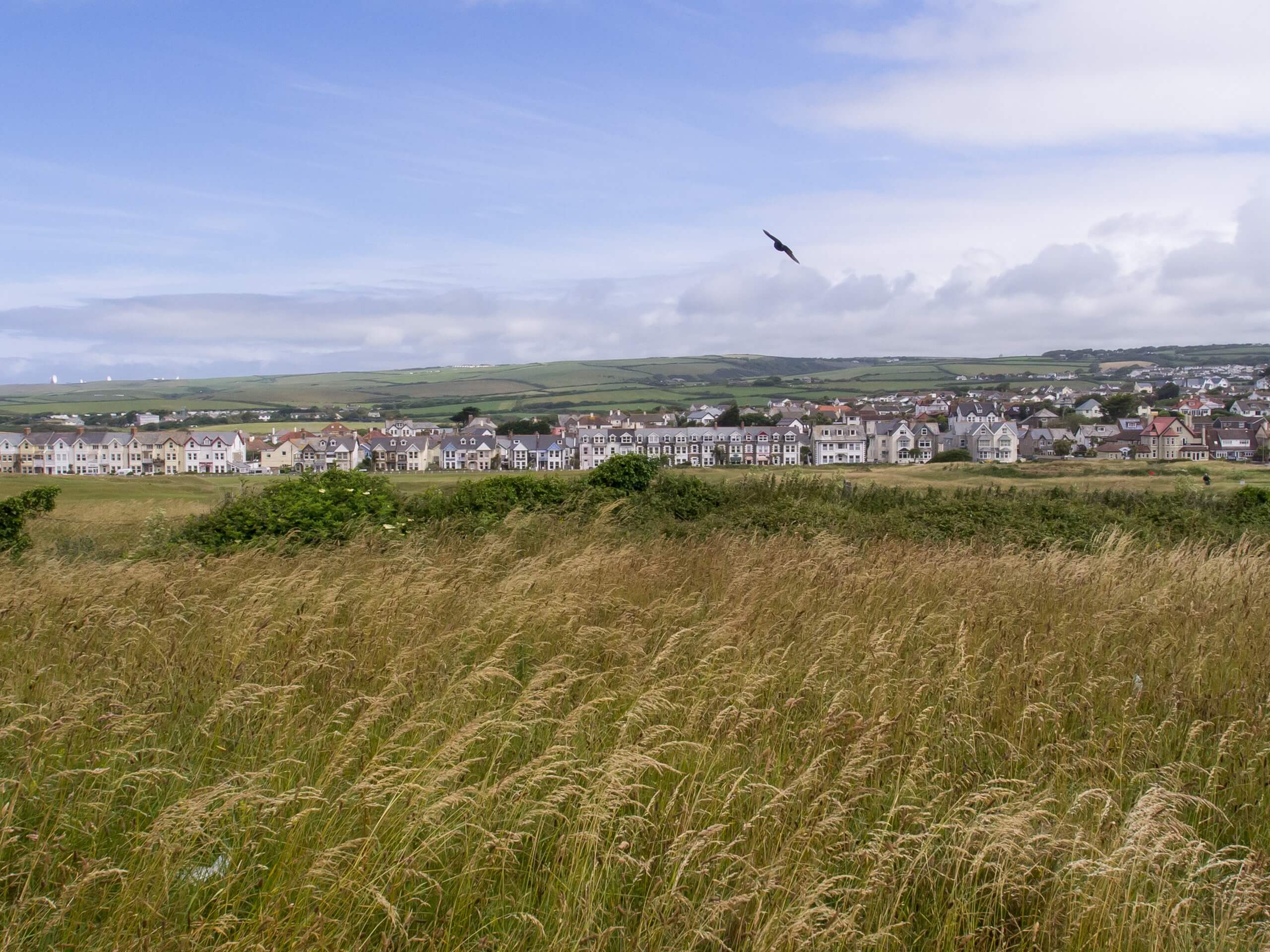 Bude to Crackington Haven