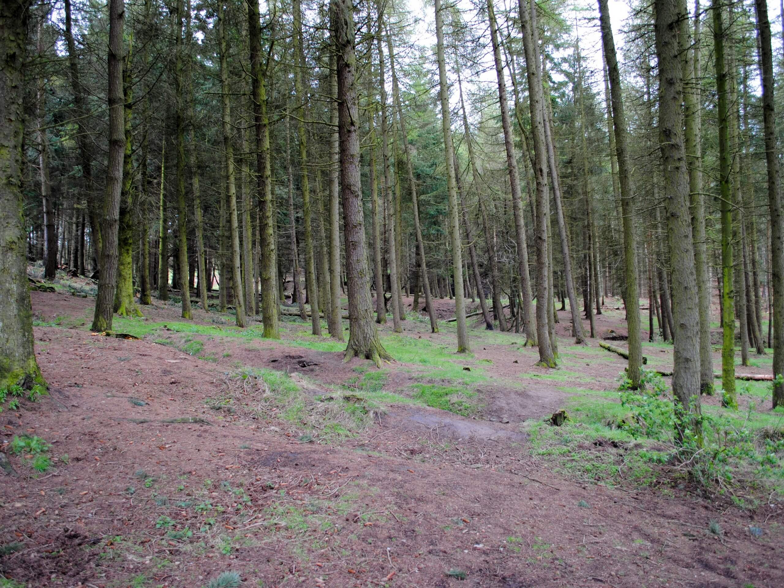 Cod Beck to Thimbleby Walk