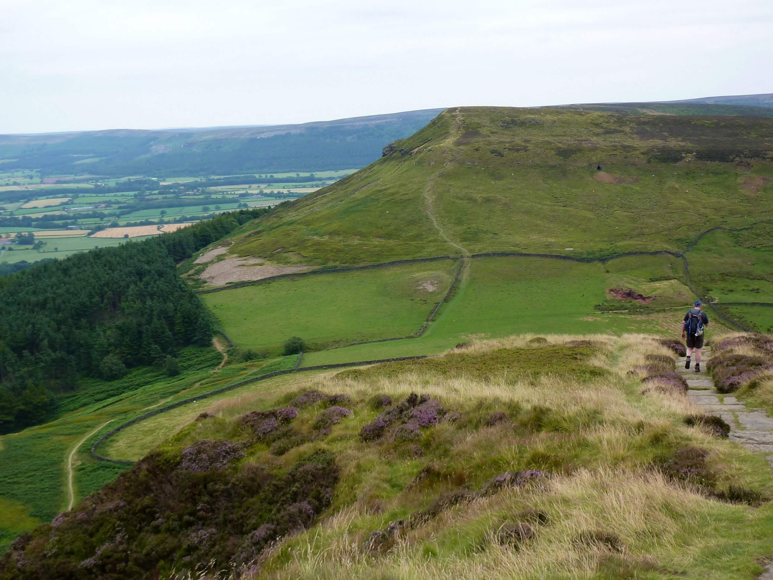 Cold Moor and Cringle Moor Walk