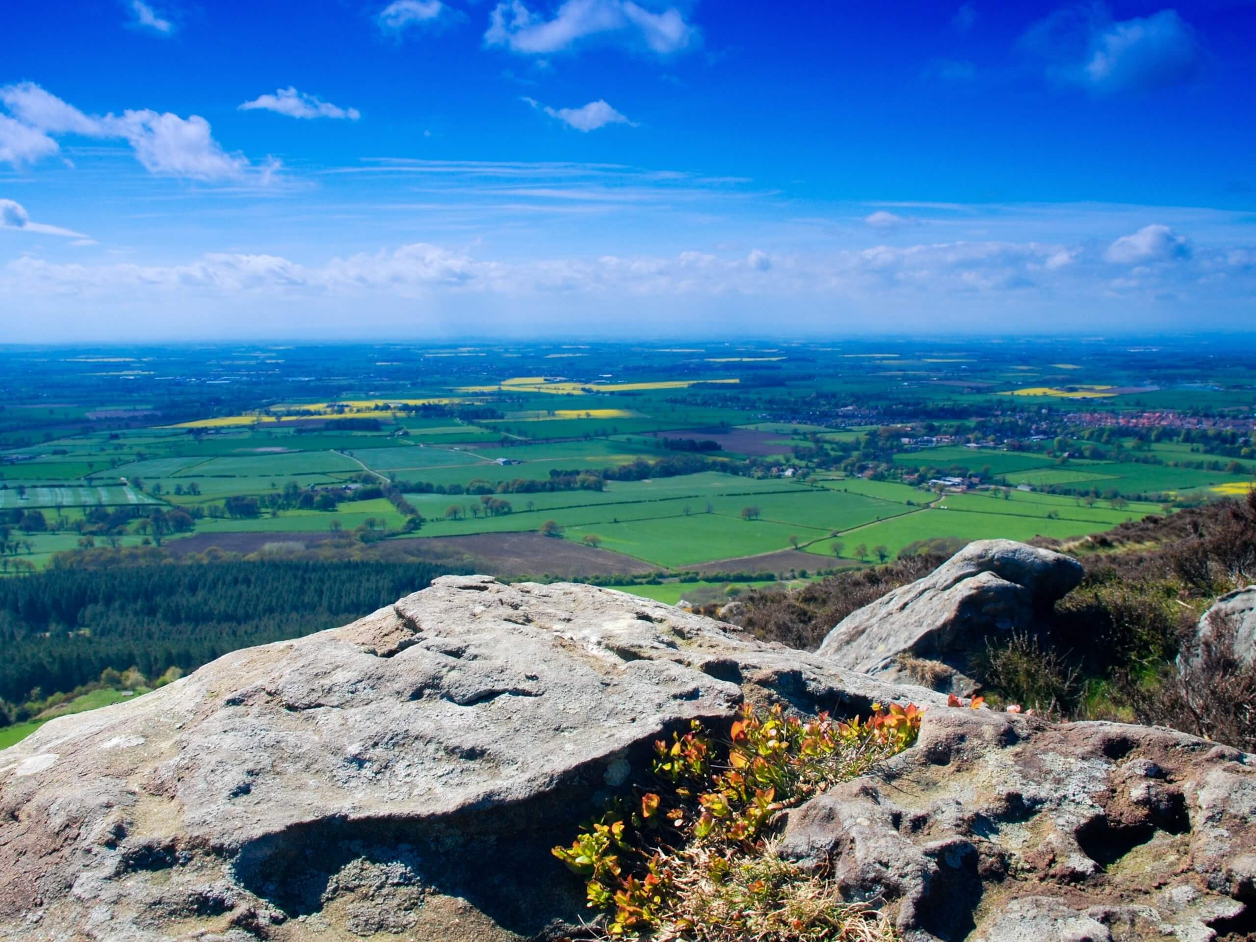 Old Meggison and Captain Cook’s Monument Walk