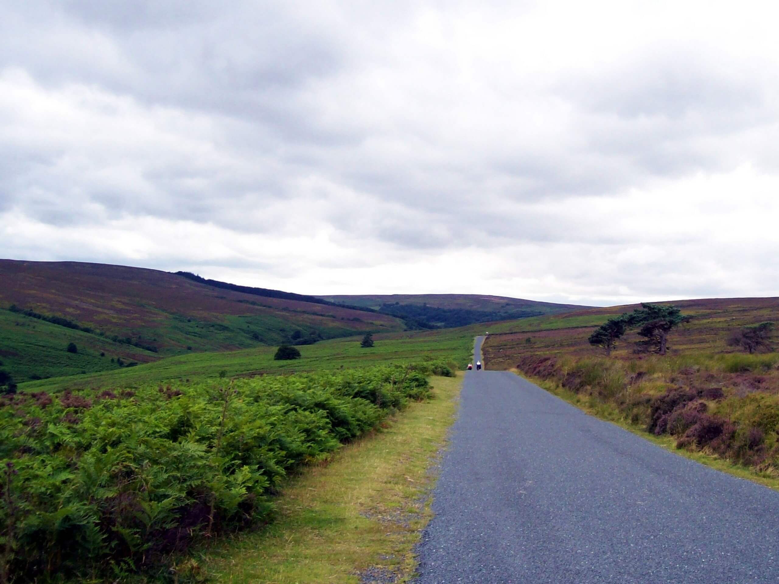 Little Roseberry and Great Ayton Moor Walk