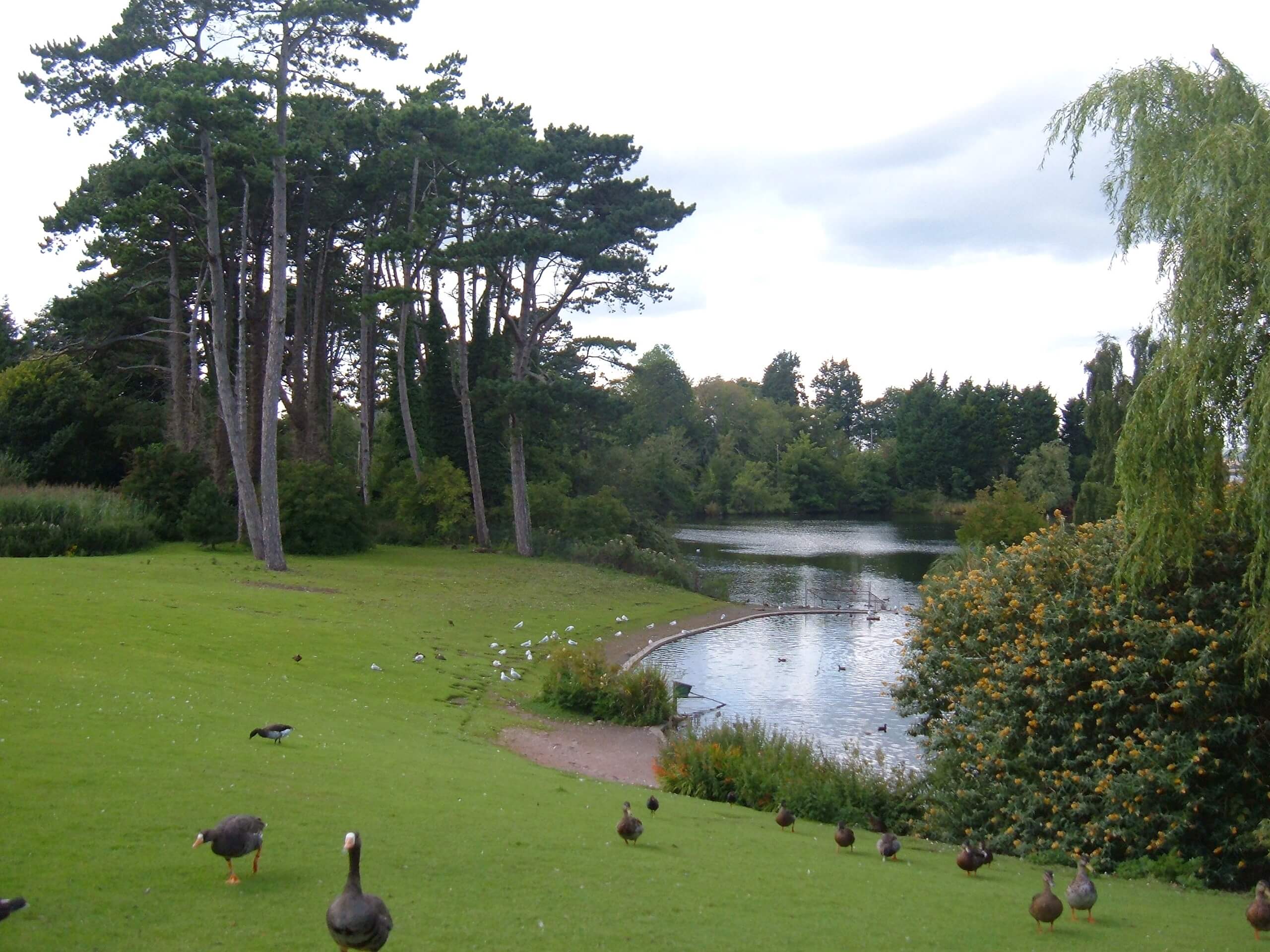 Castle Espie Wildlife Wander