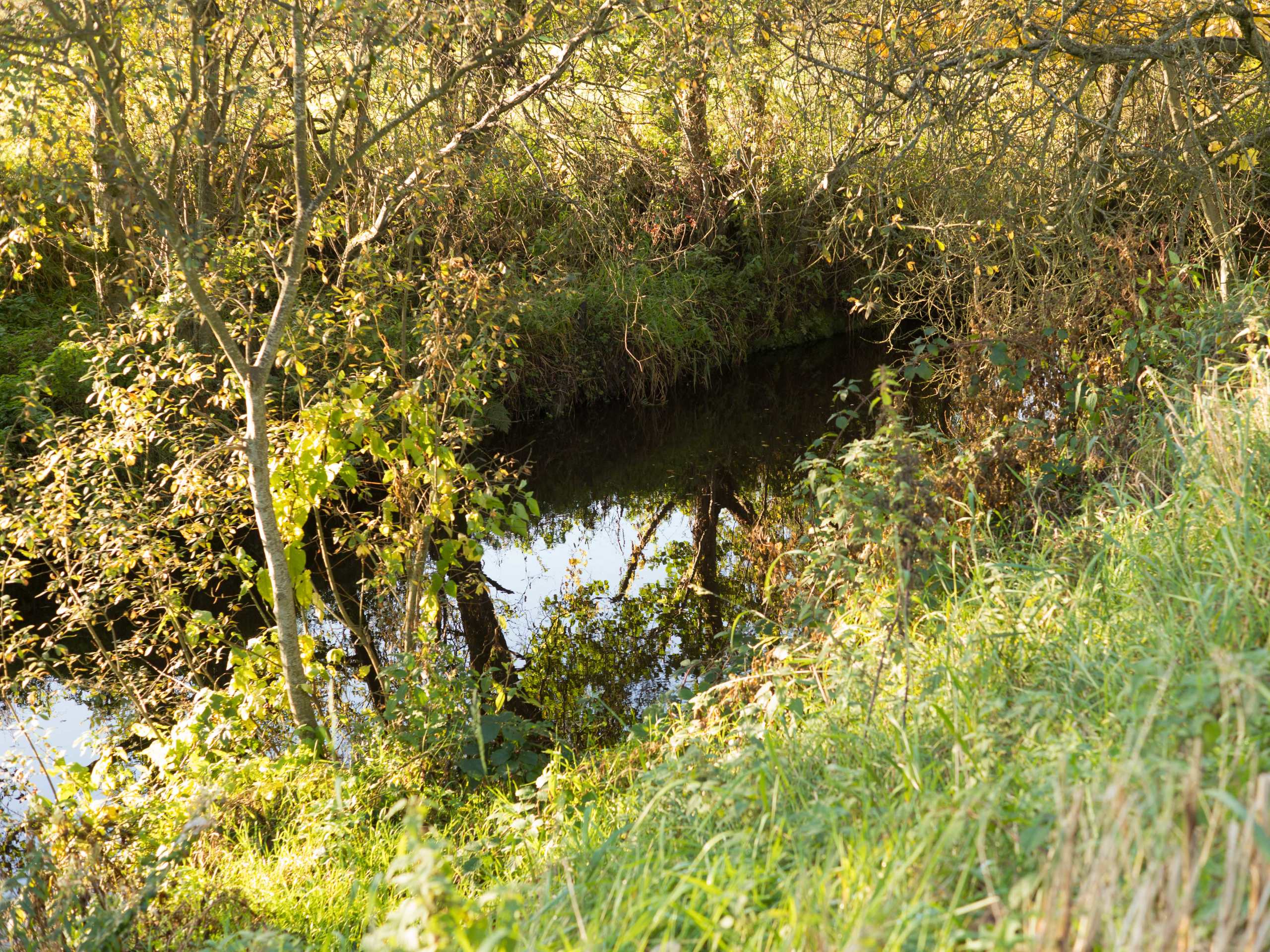 Coalisland Canal Walk