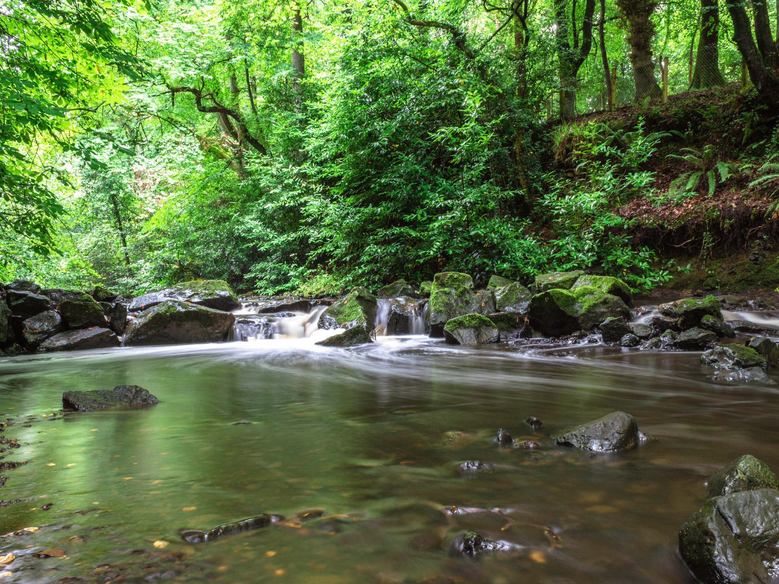 Crumlin Glen Walk