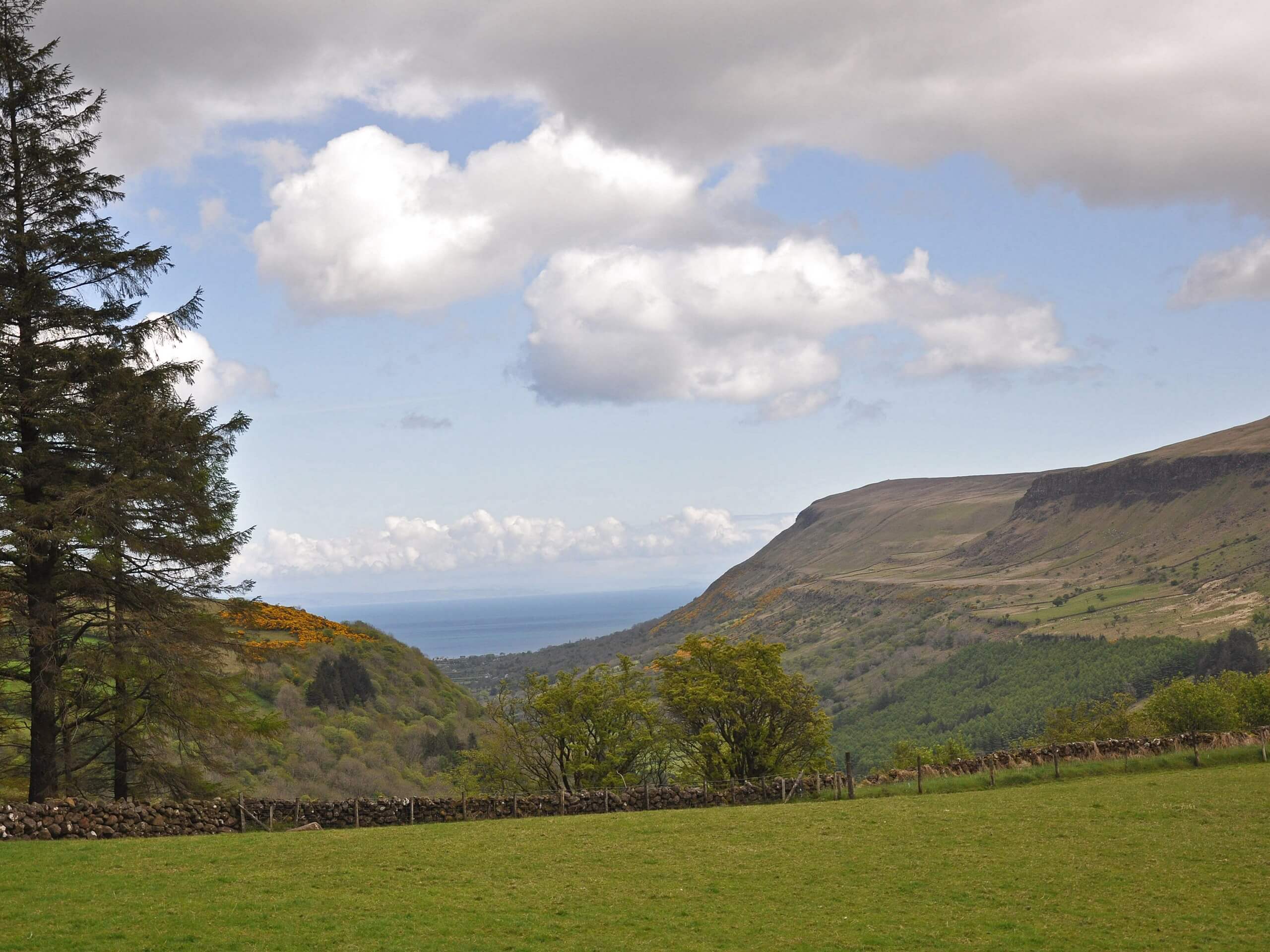 Glenariff Forest Park Rainbow Trail