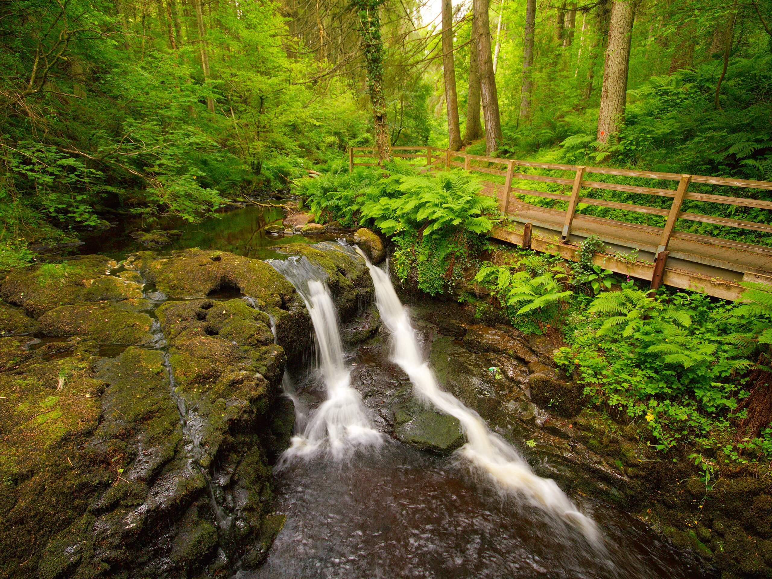 Glenariff Forest Park Waterfall Trail