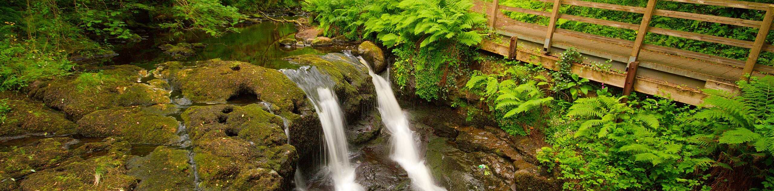 Glenariff Forest Park Waterfall Trail