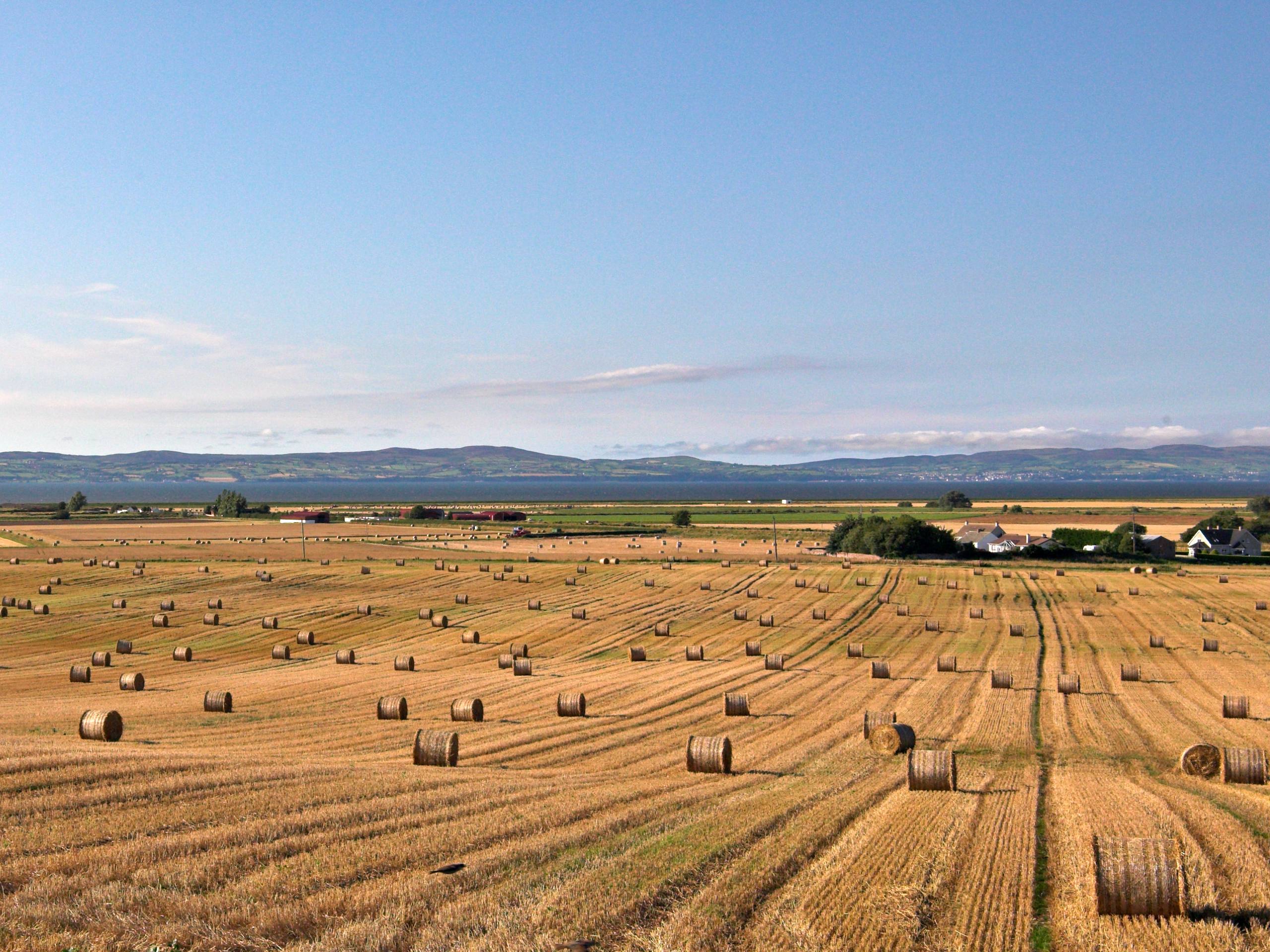 Lough Foyle Trail