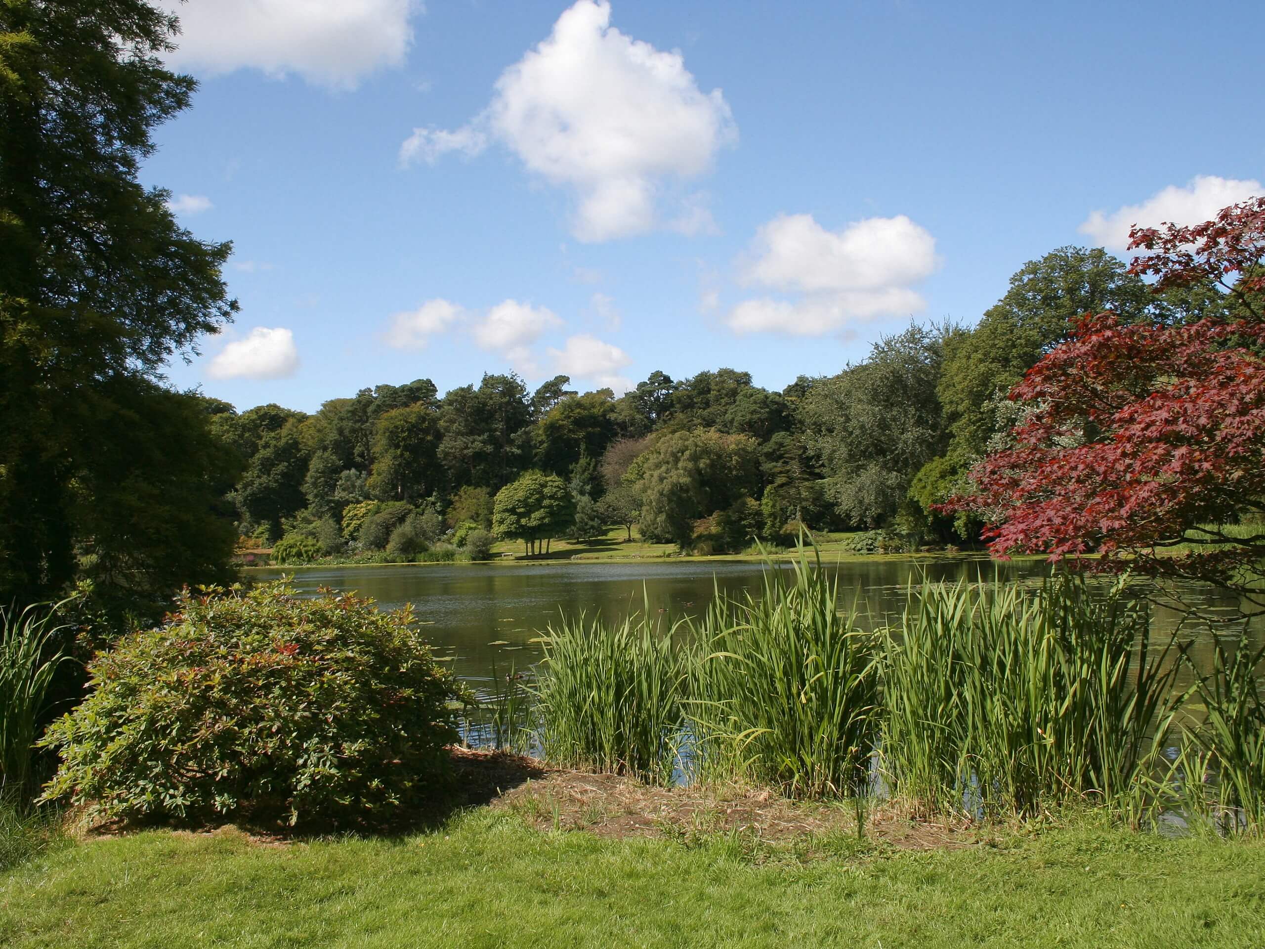 Mount Stewart Lake Walk