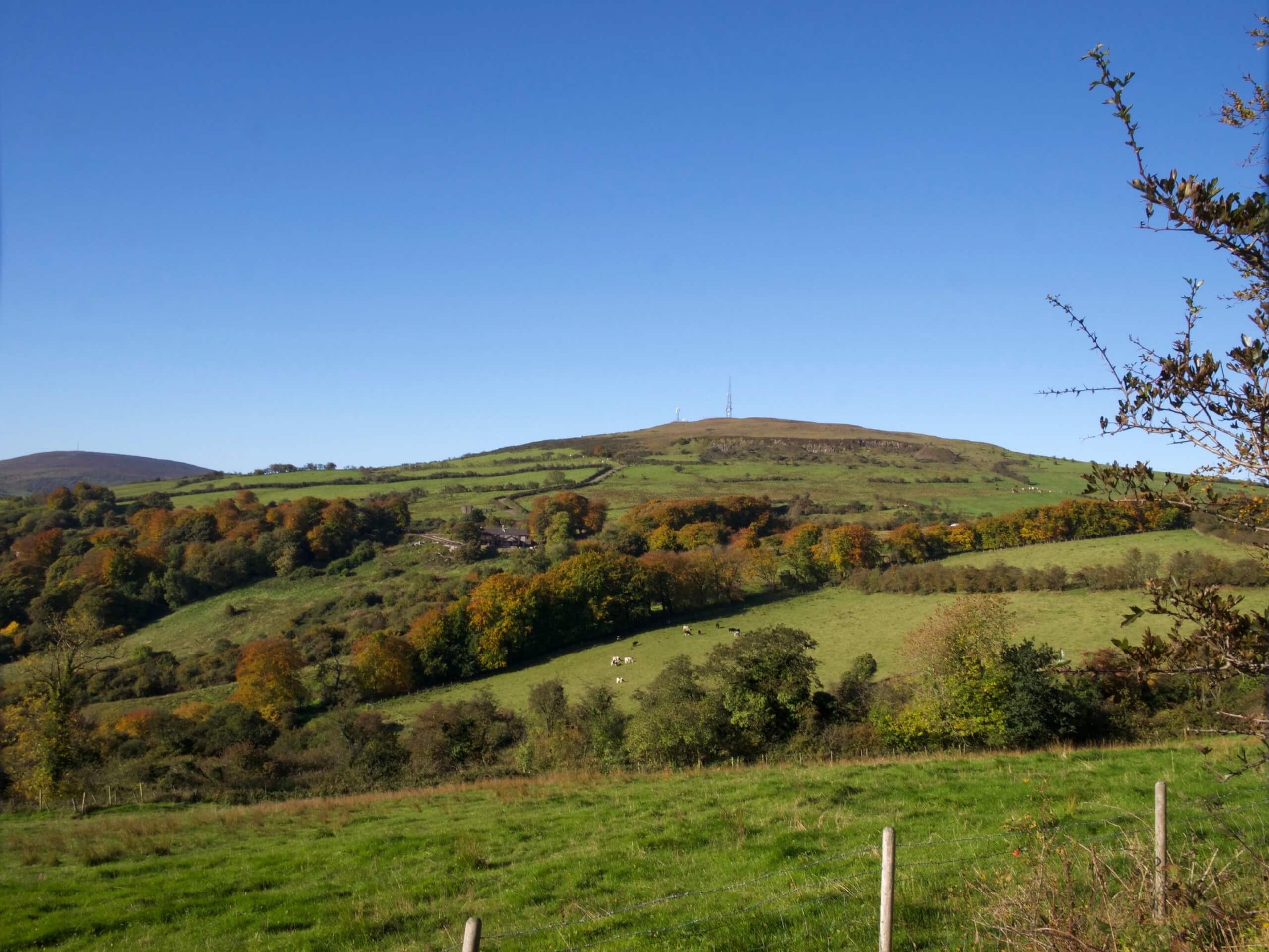 Cavehill Circular Walk