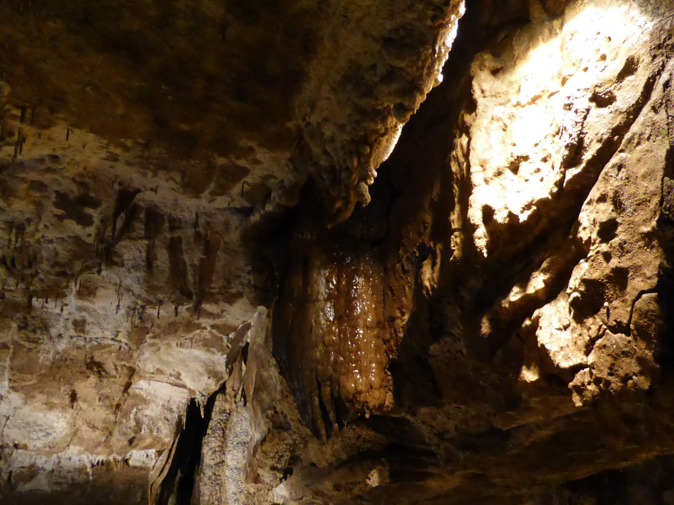 Cladagh Glen and Marble Arch Caves Walk