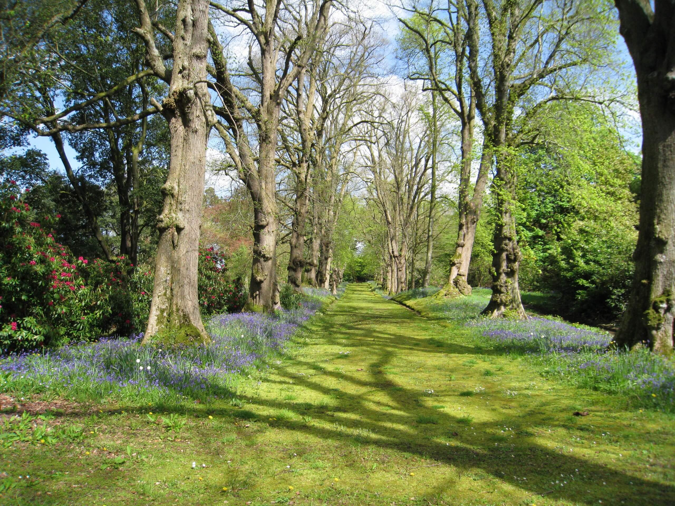 Hillsborough Castle and Forest Park Circular Walk