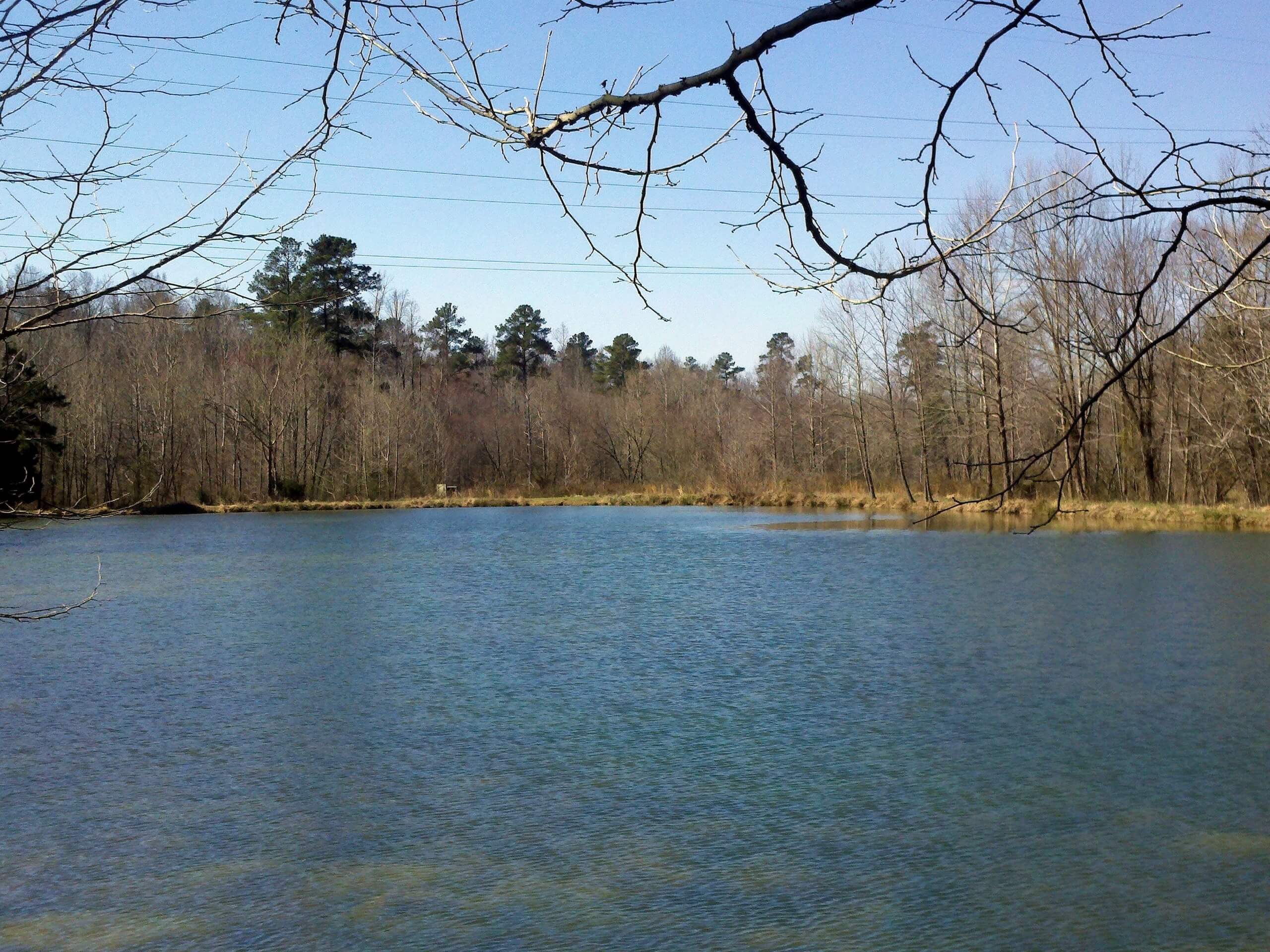 Hillsborough Forest Park Lake Walk