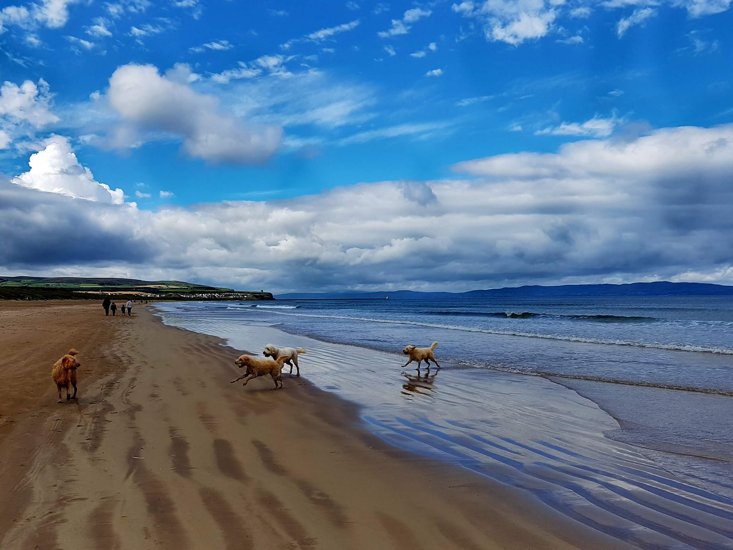 Portstewart Strand and Estuary Walk