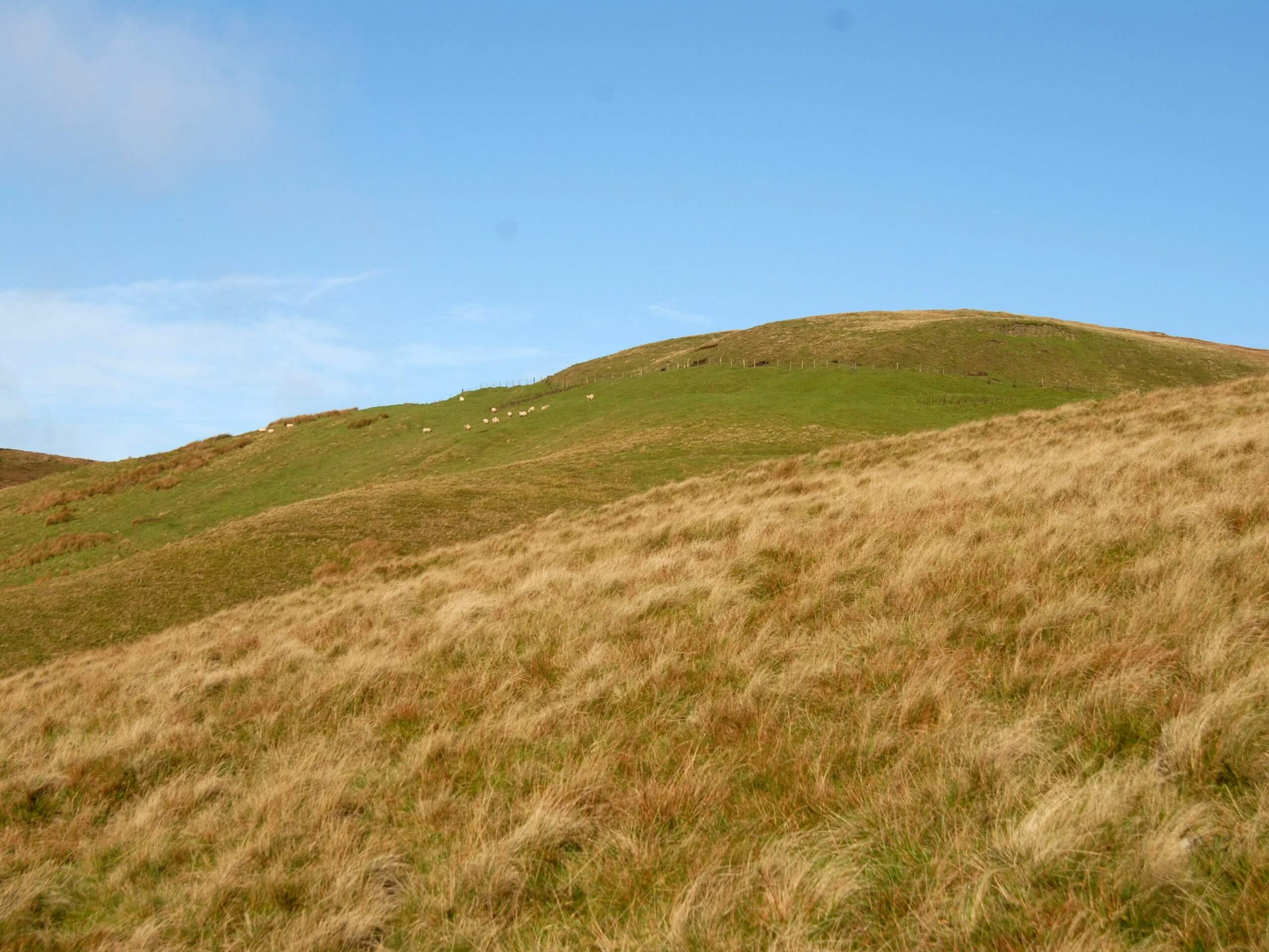 Slieve Gallion Walk