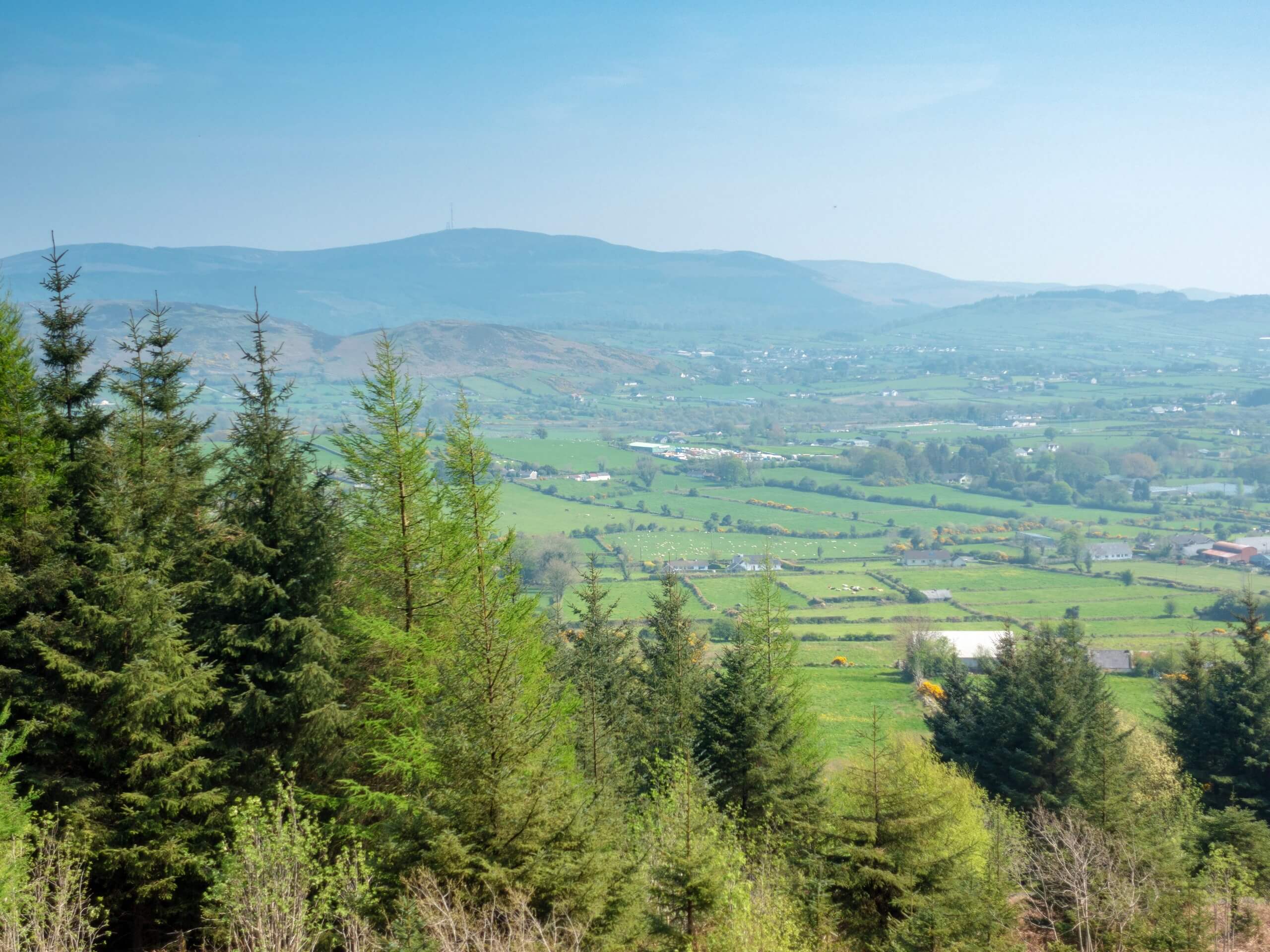 Slieve Gullion Circular Walk