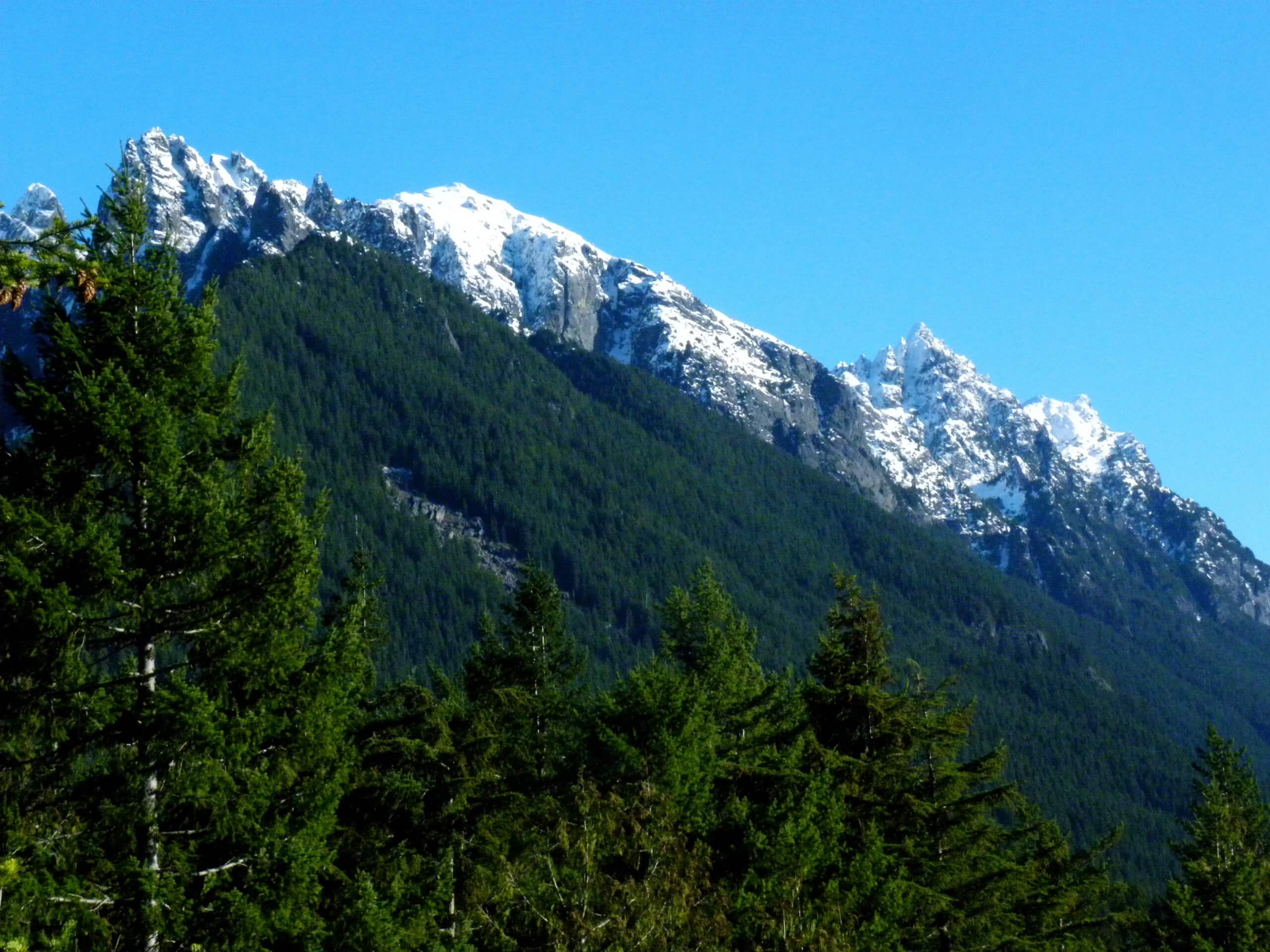 Heybrook Ridge Trail