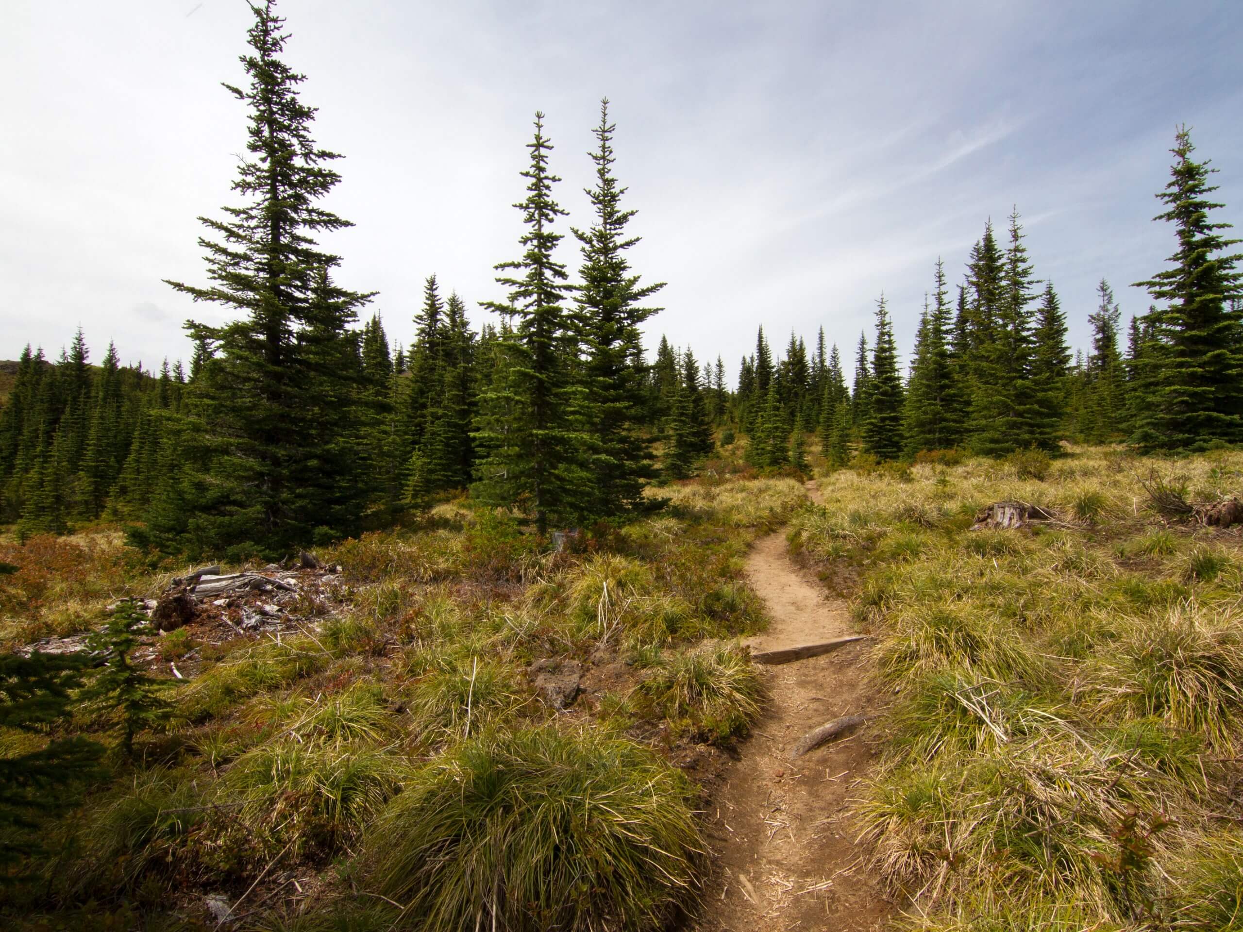 Kelly Butte Trail