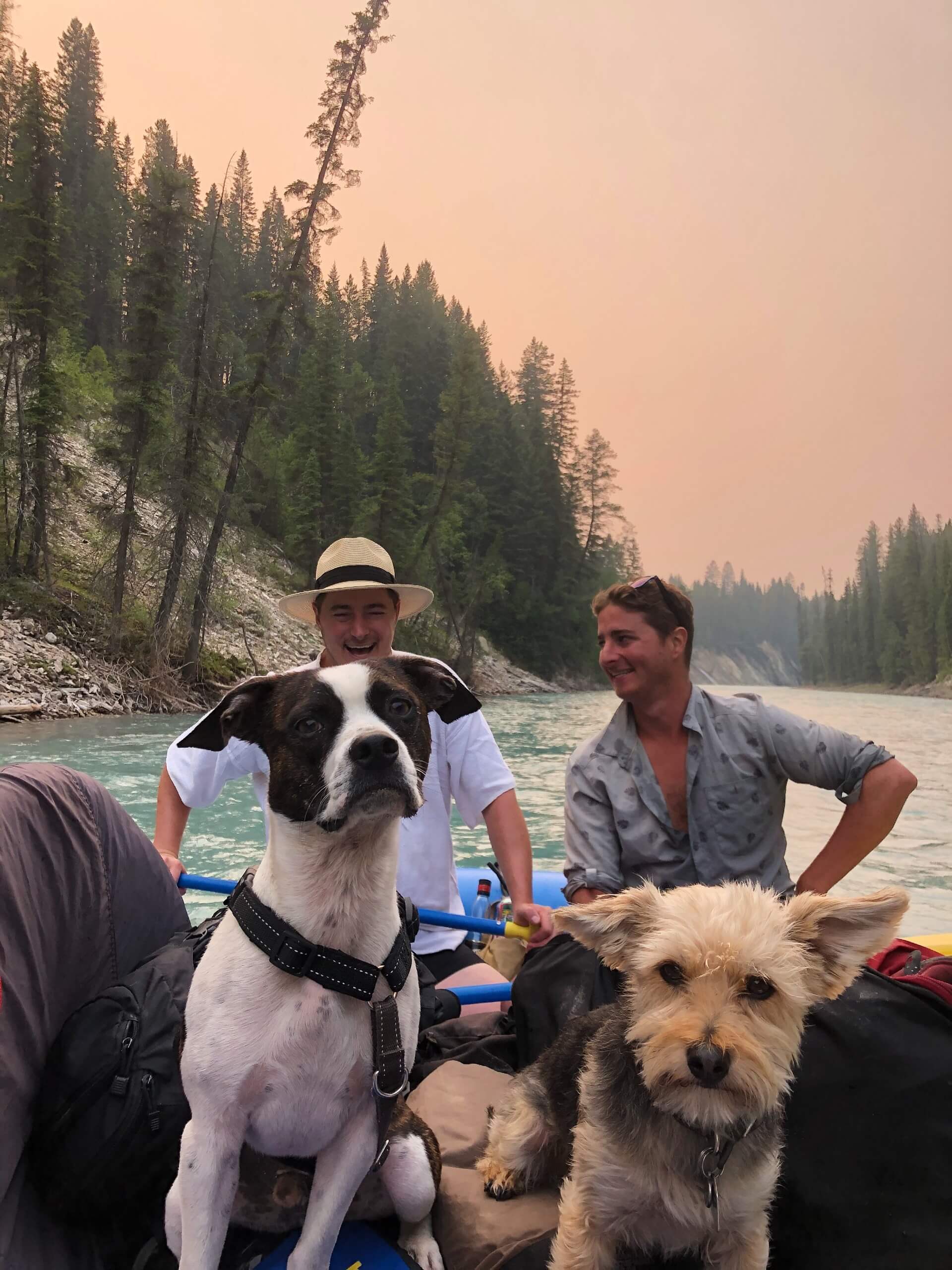 Kootenay River Rafting with dogs