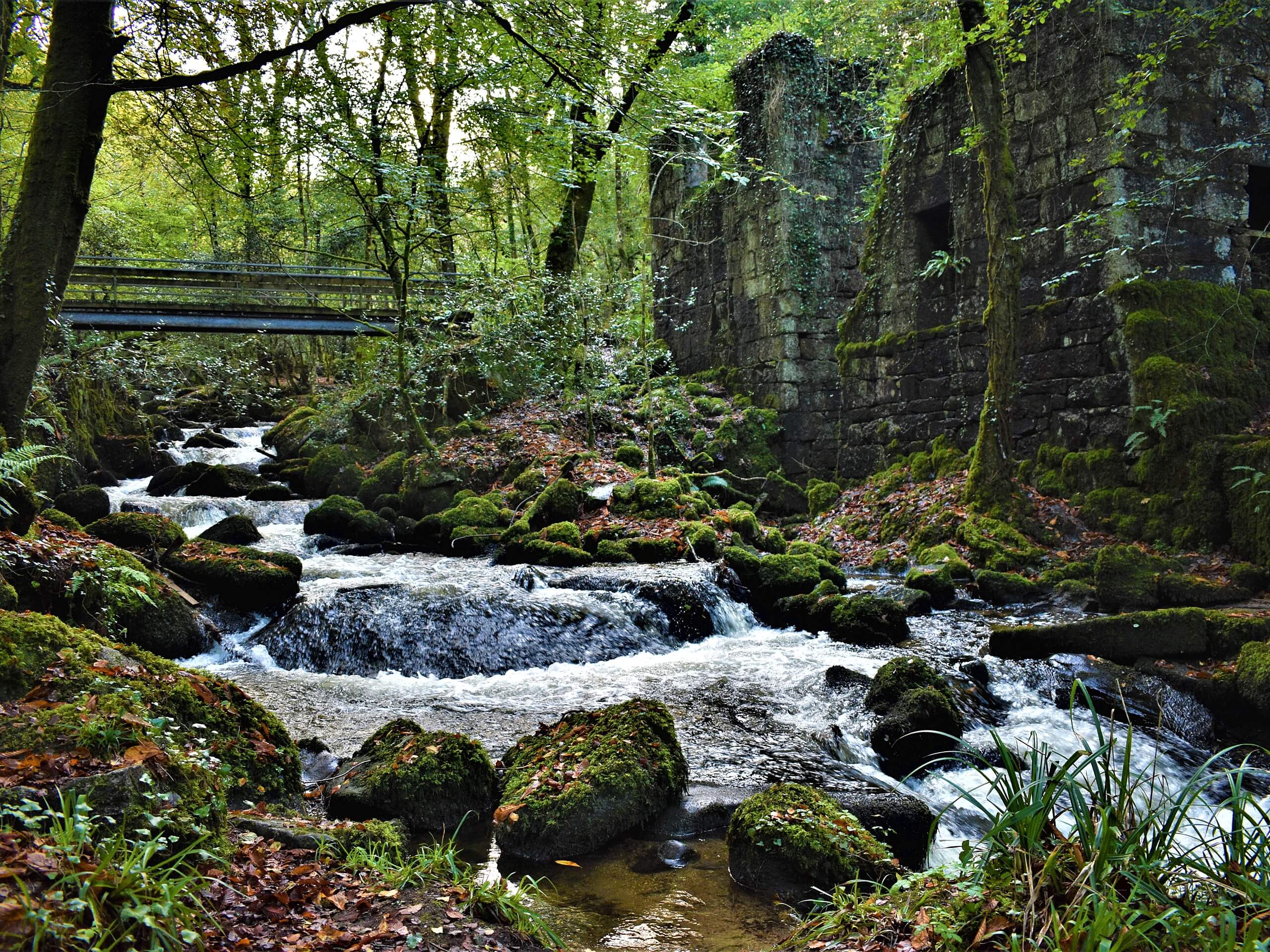 Kennall Vale Walk