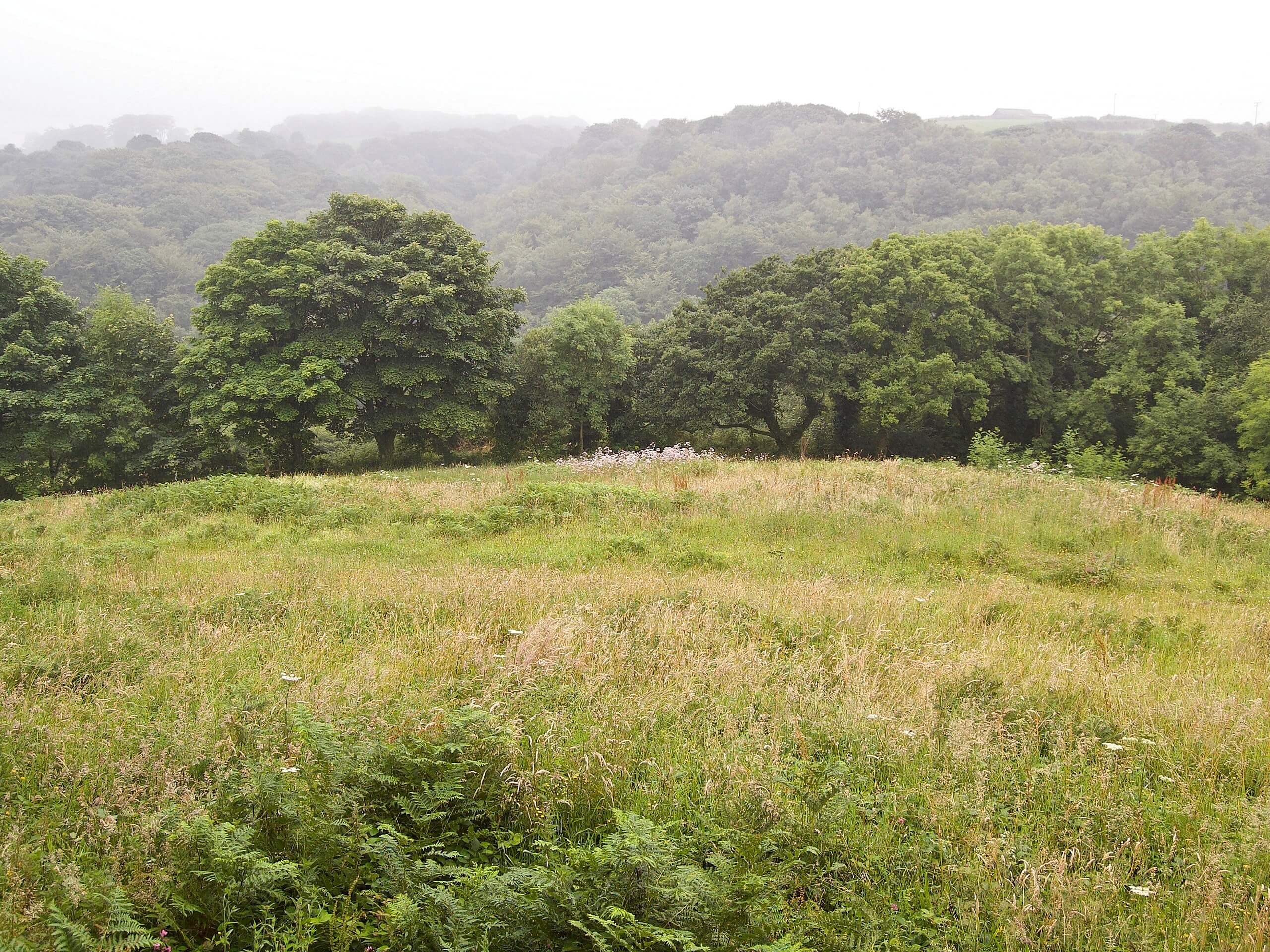 Luxulyan and Ponts Mill Circular Walk