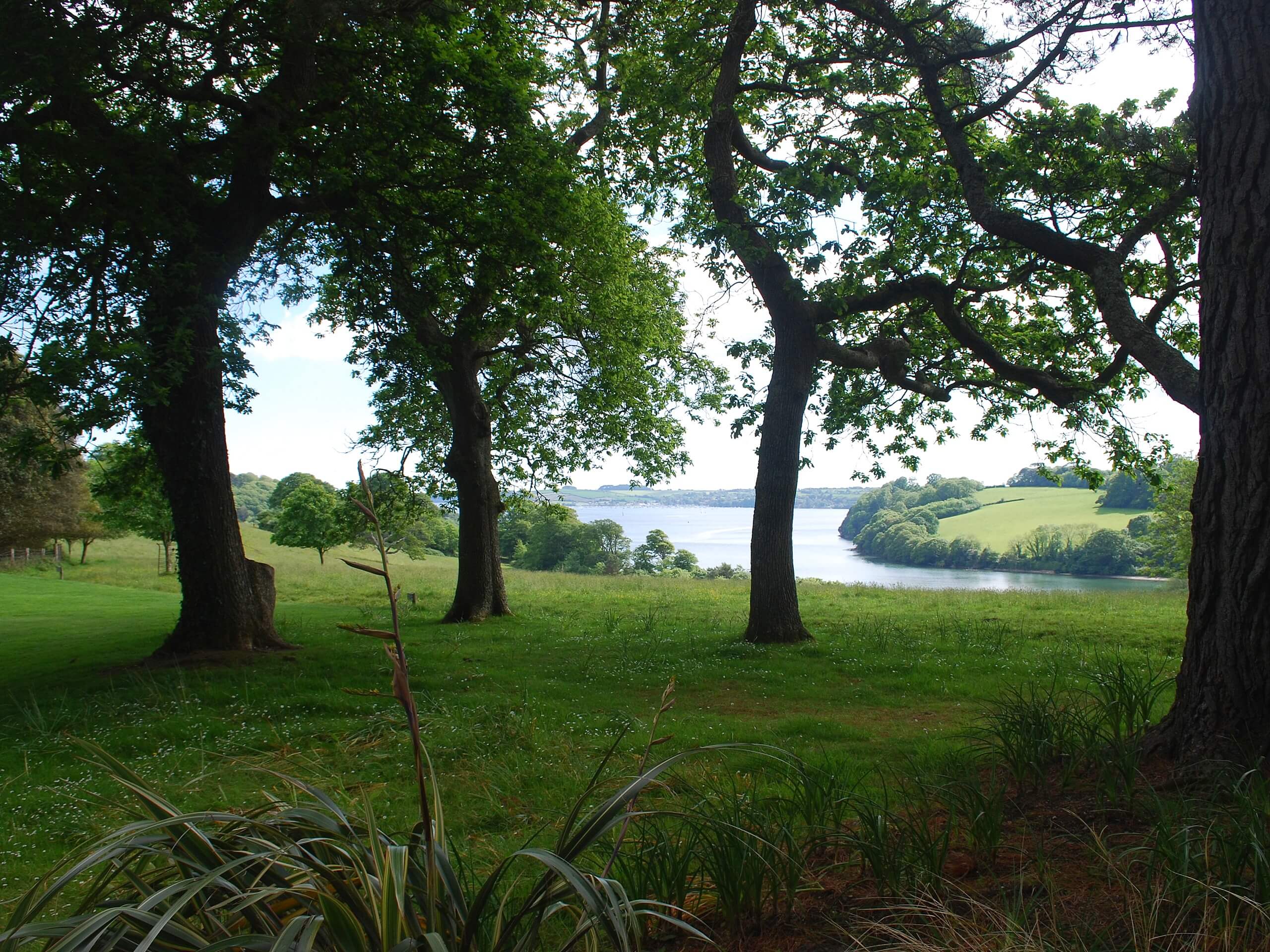 Namphillows Wood and Trelissick Garden Walk