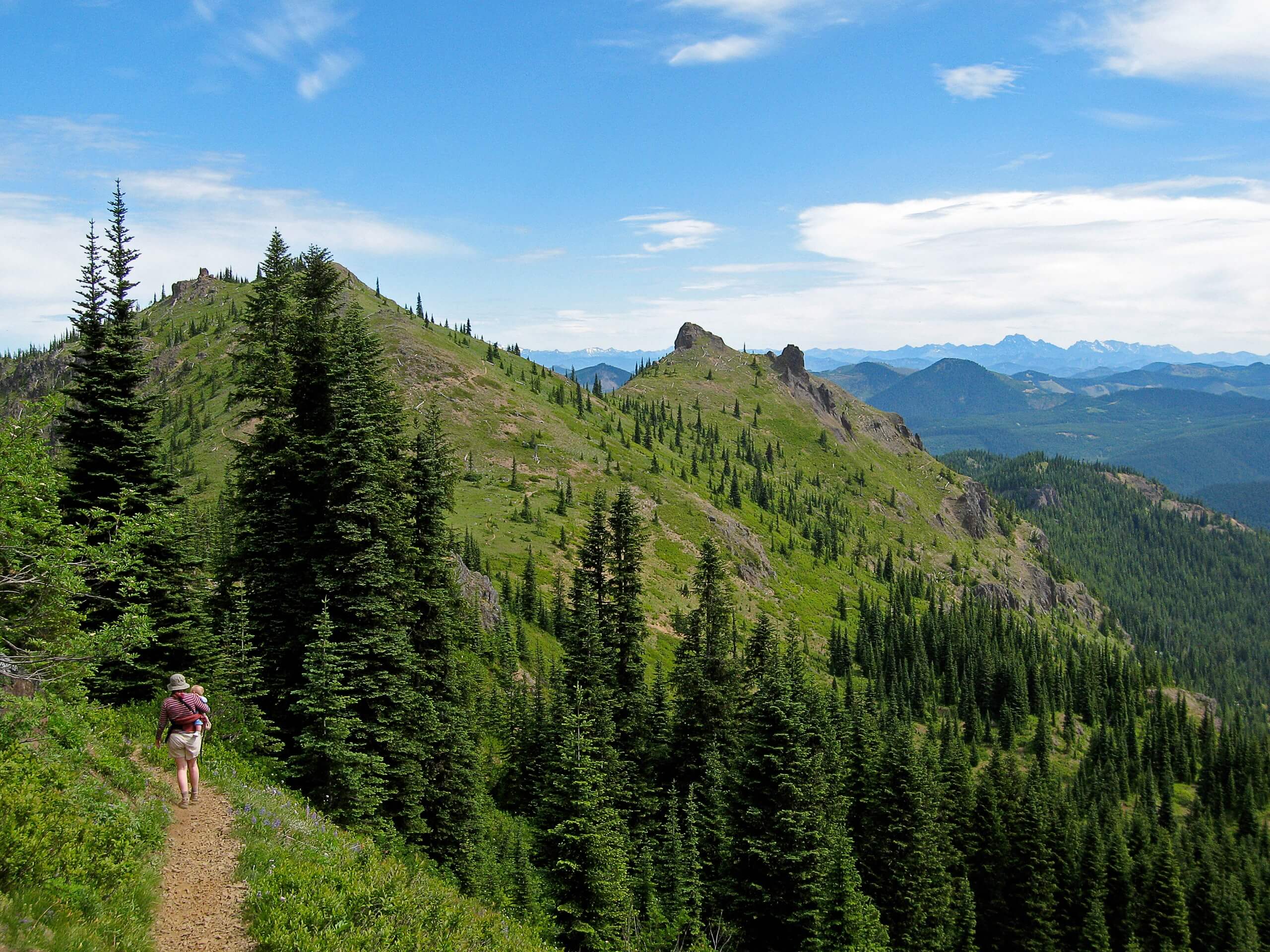 Noble Knob Northern Approach