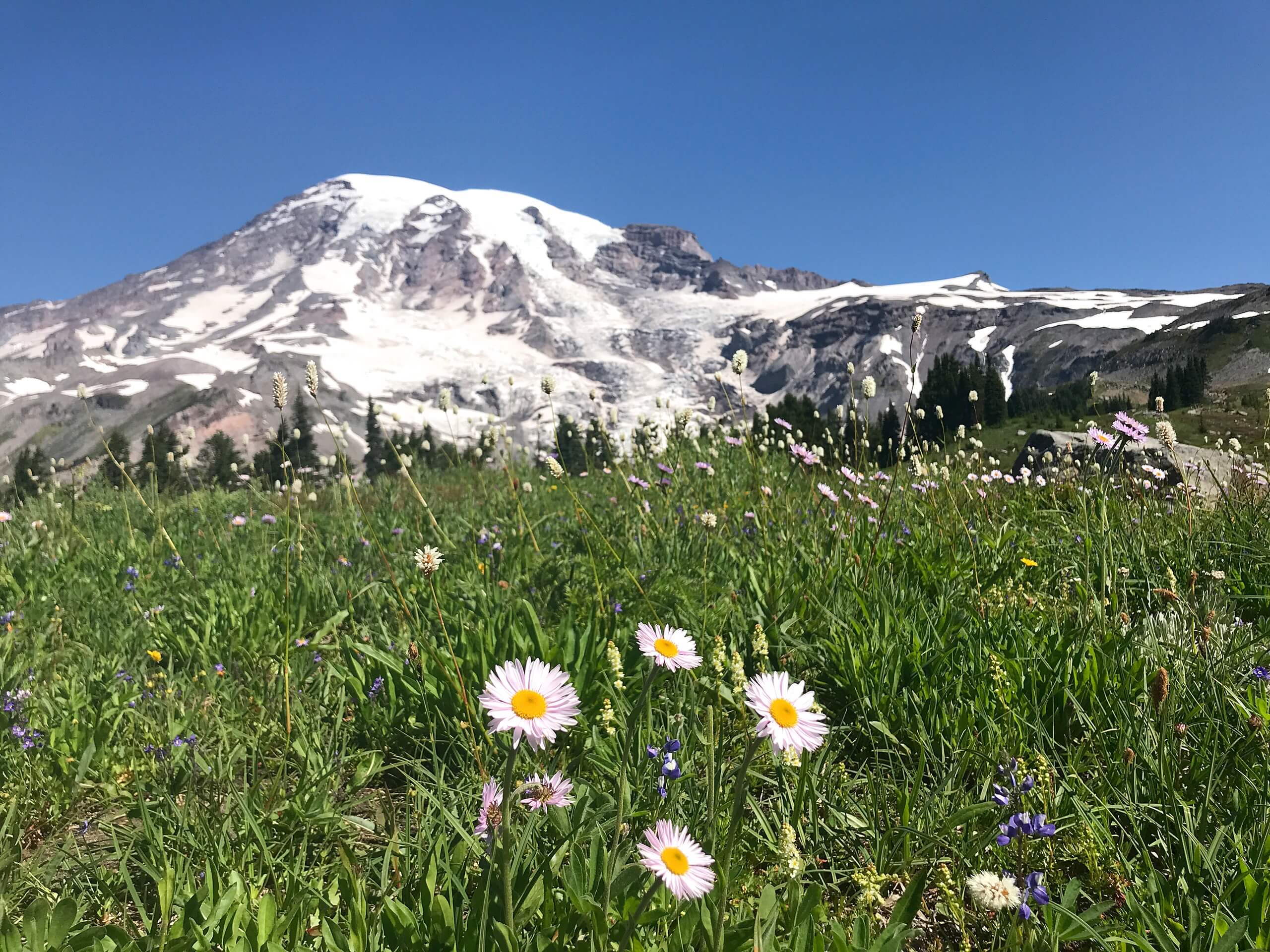 Deadhorse Creek Trail to Golden Gate Loop